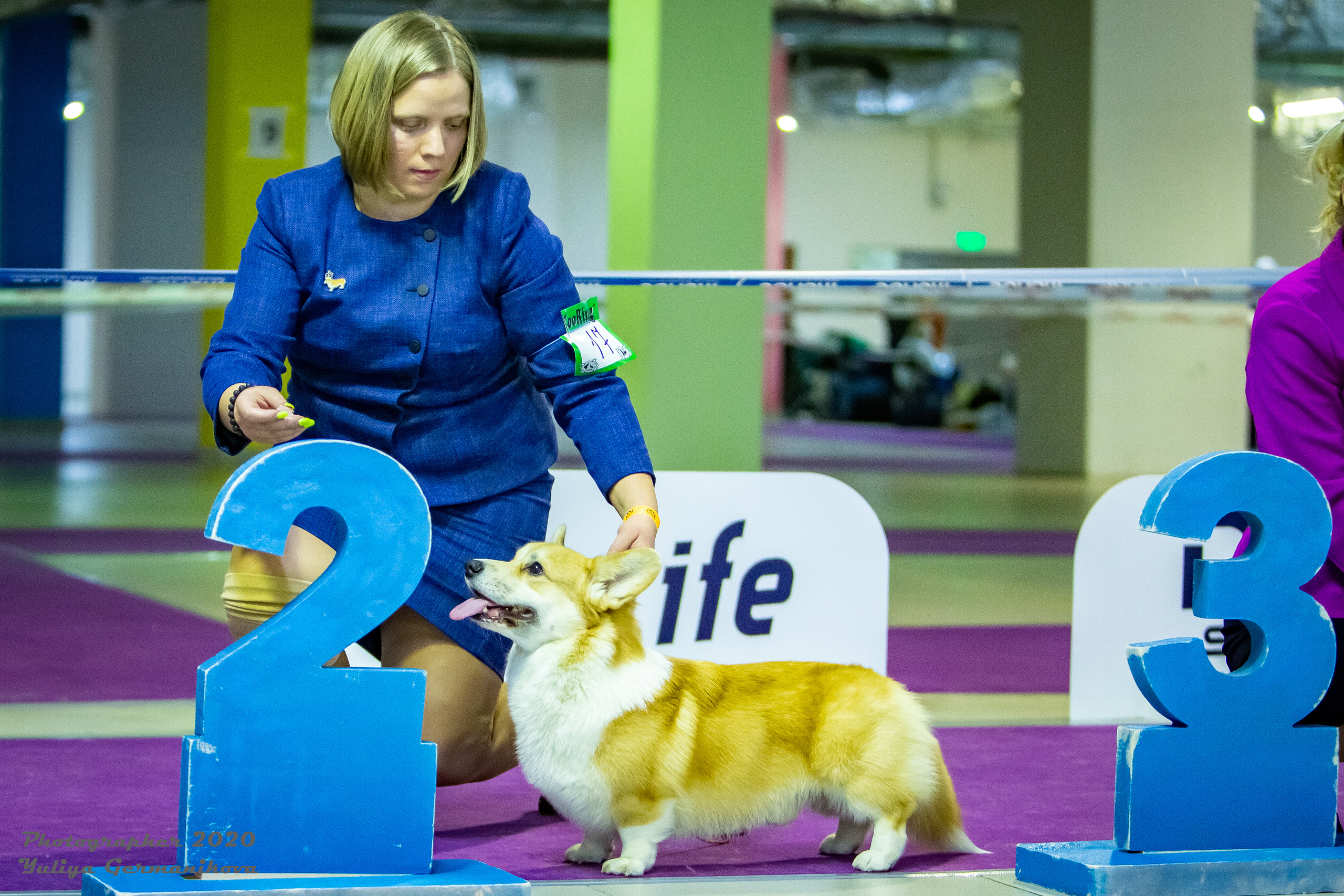Монопородные выставки. Фотограф-анималист Юлия Германика
