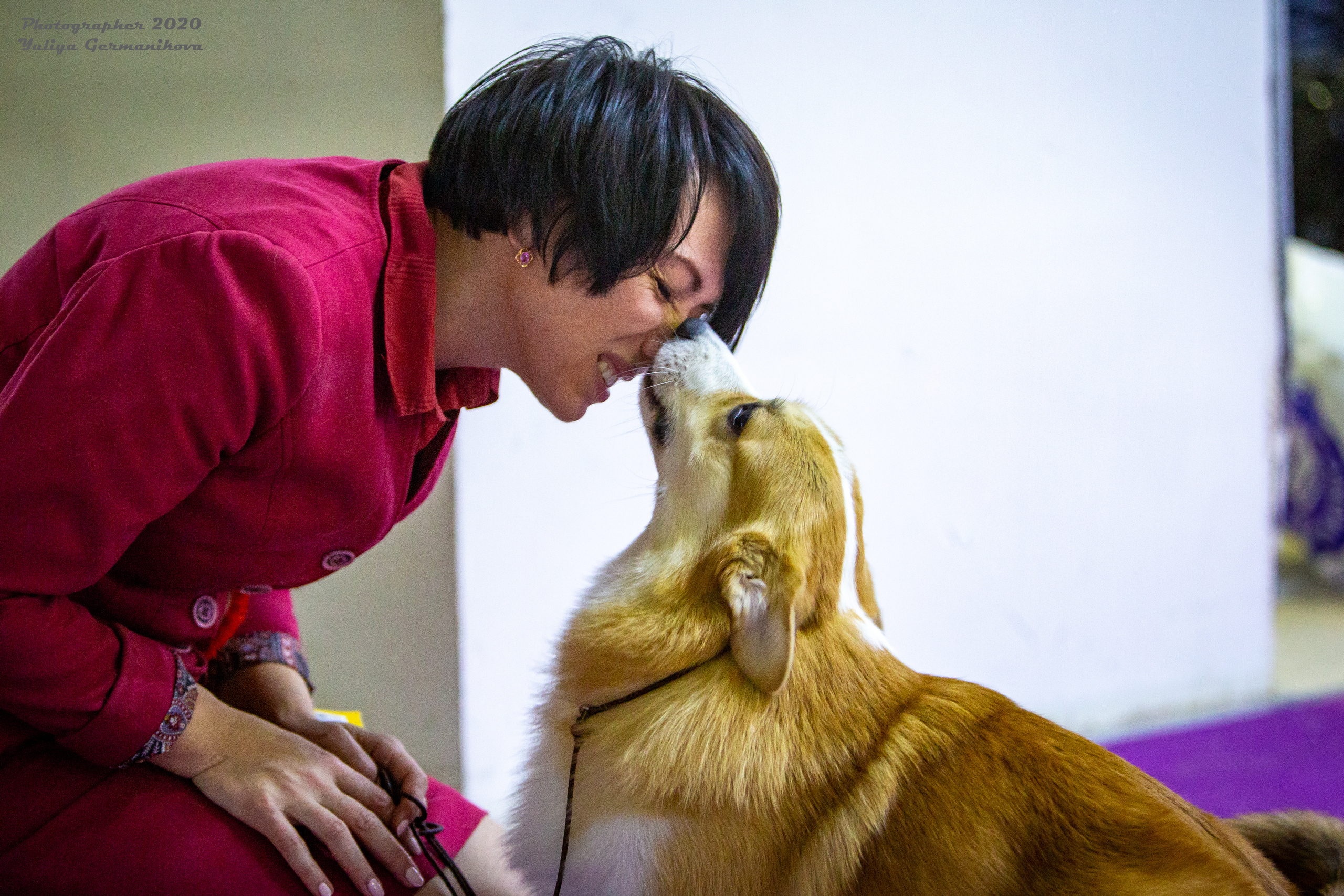 Монопородные выставки. Фотограф-анималист Юлия Германика
