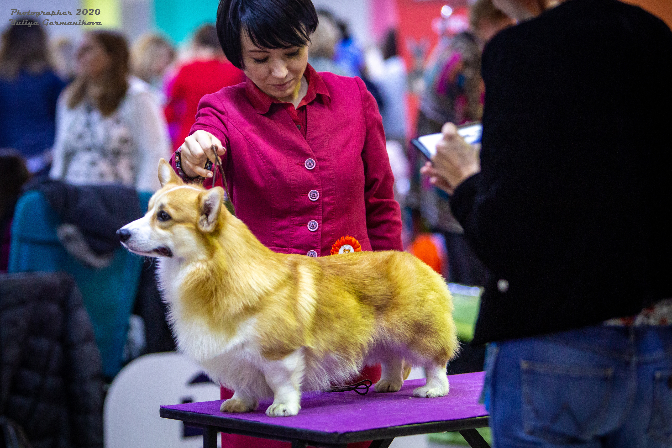 Монопородные выставки. Фотограф-анималист Юлия Германика