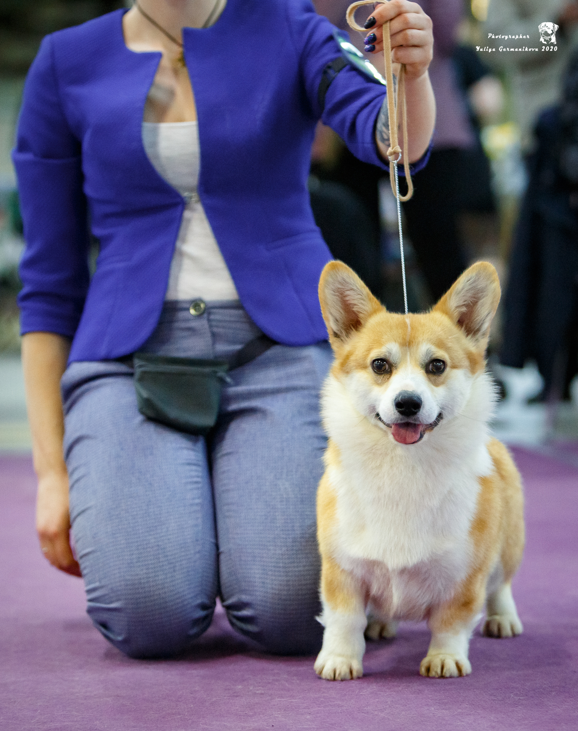 Чайна-Таун 2021. Фотограф-анималист Юлия Германика