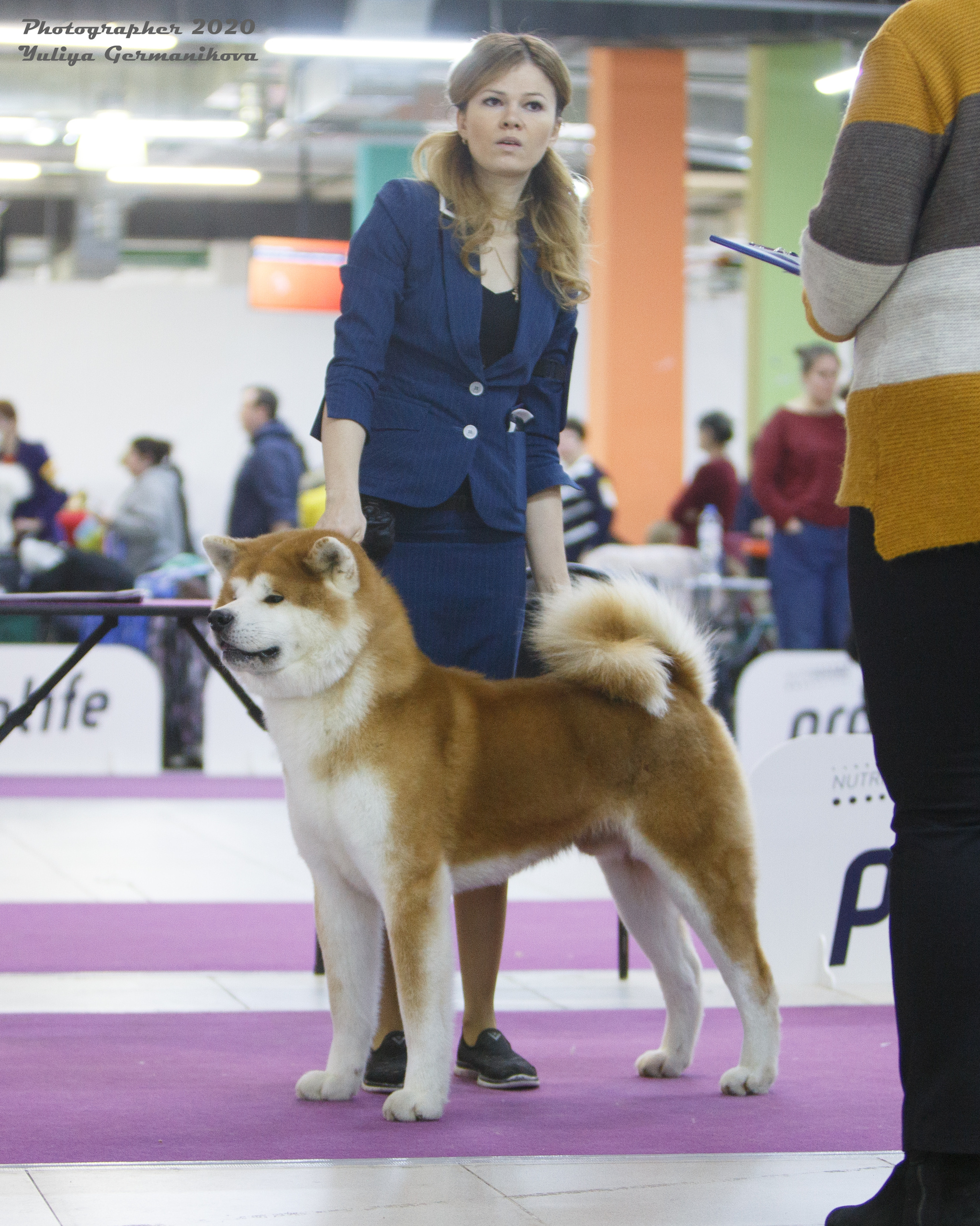 Чайна-Таун 2021. Фотограф-анималист Юлия Германика