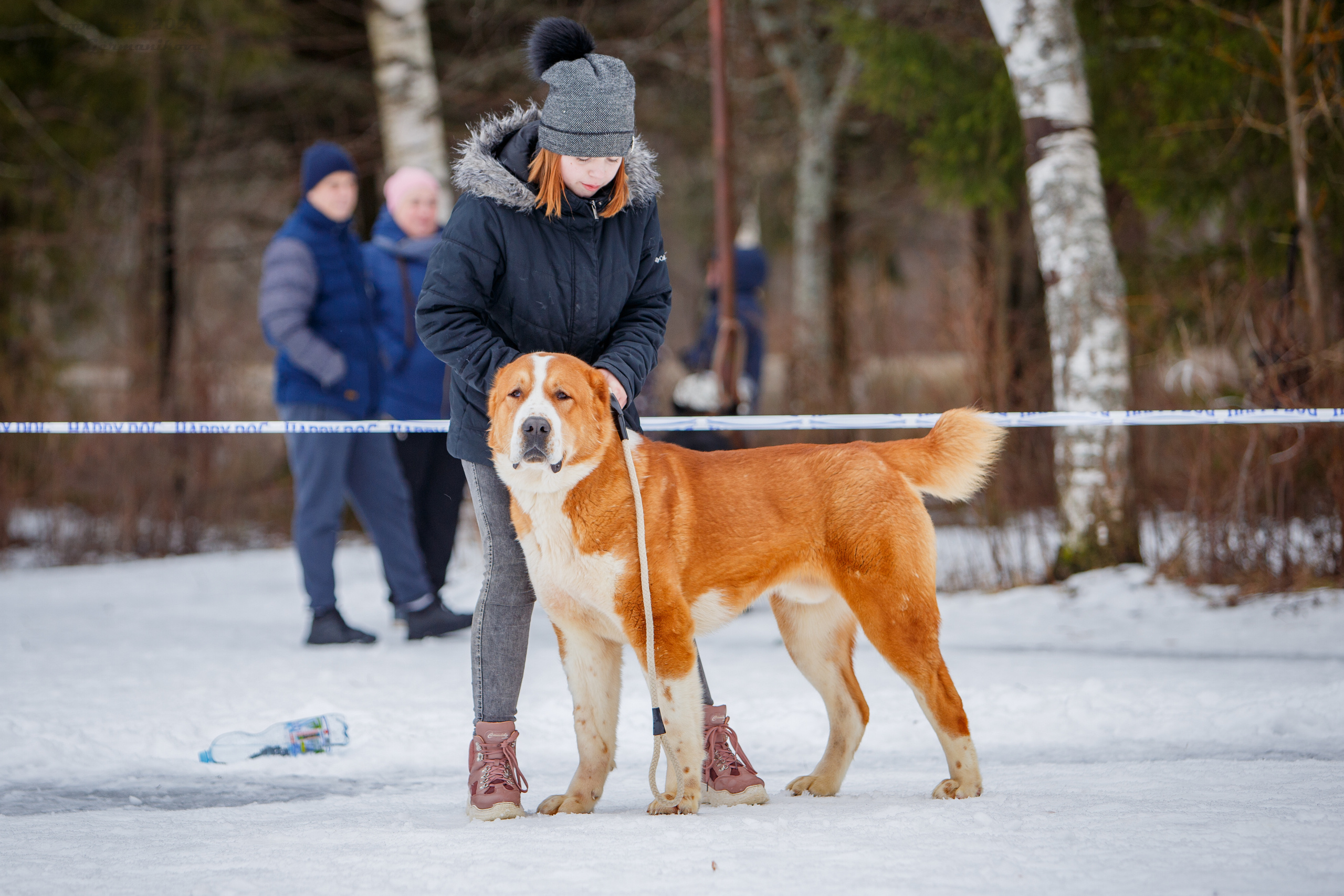 Монопородные выставки. Фотограф-анималист Юлия Германика