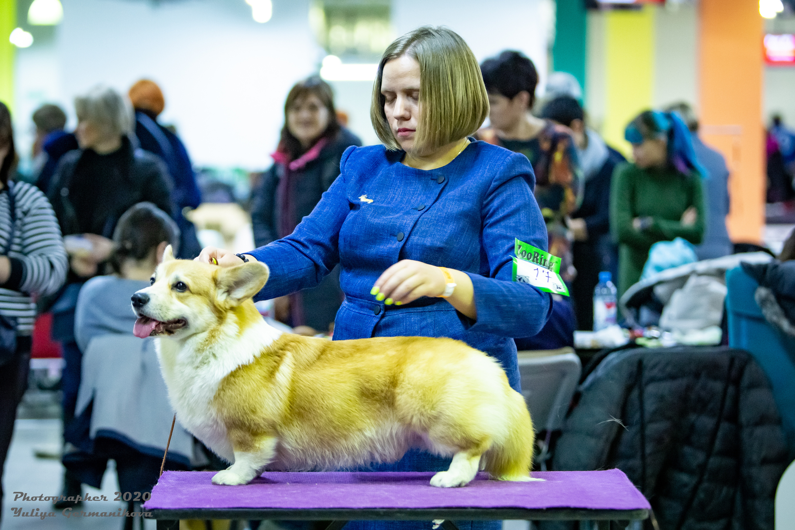 Монопородные выставки. Фотограф-анималист Юлия Германика