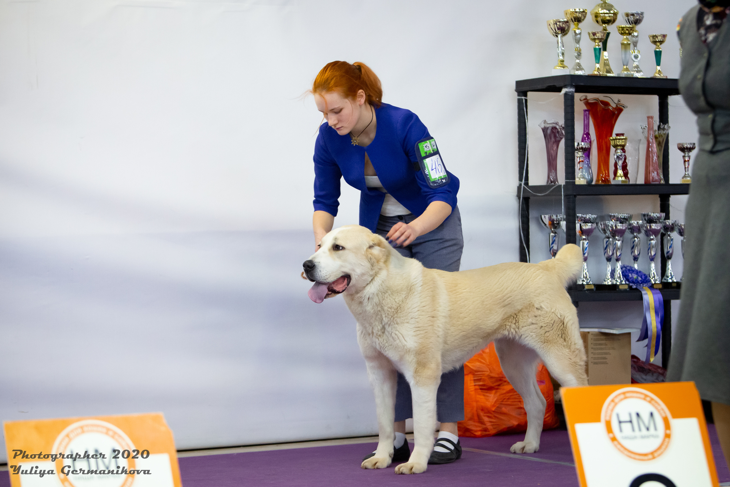 Чайна-Таун 2021. Фотограф-анималист Юлия Германика