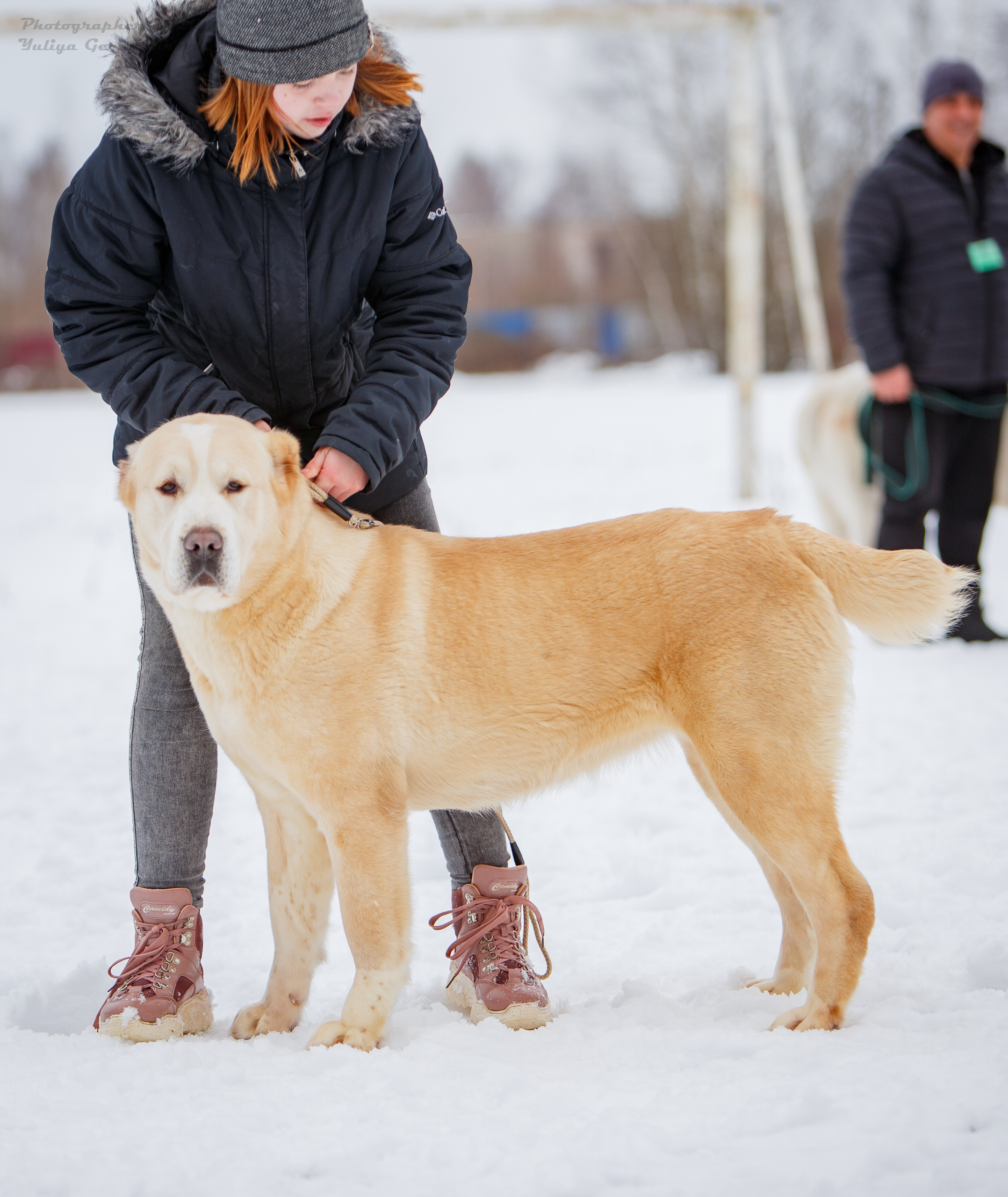 Монопородные выставки. Фотограф-анималист Юлия Германика