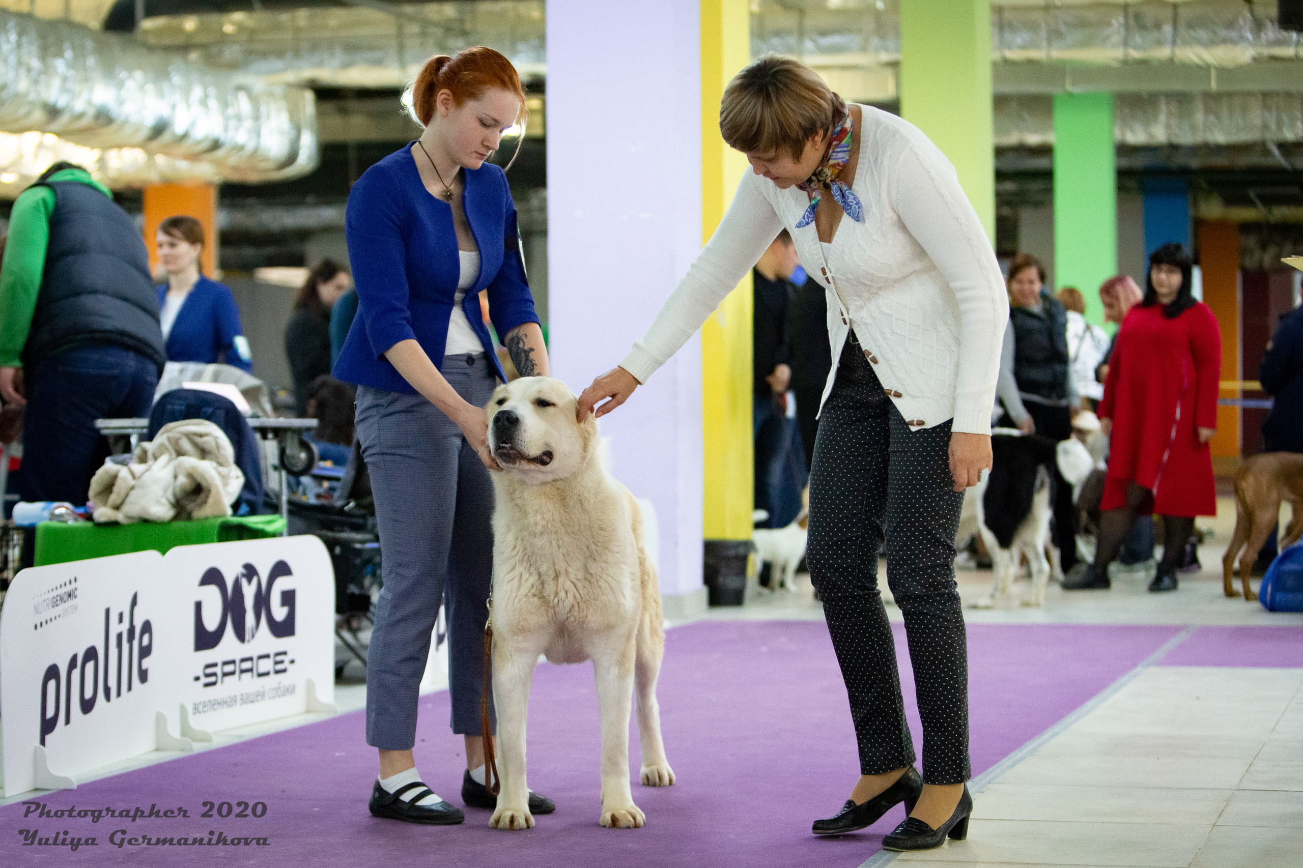 Чайна-Таун 2021. Фотограф-анималист Юлия Германика
