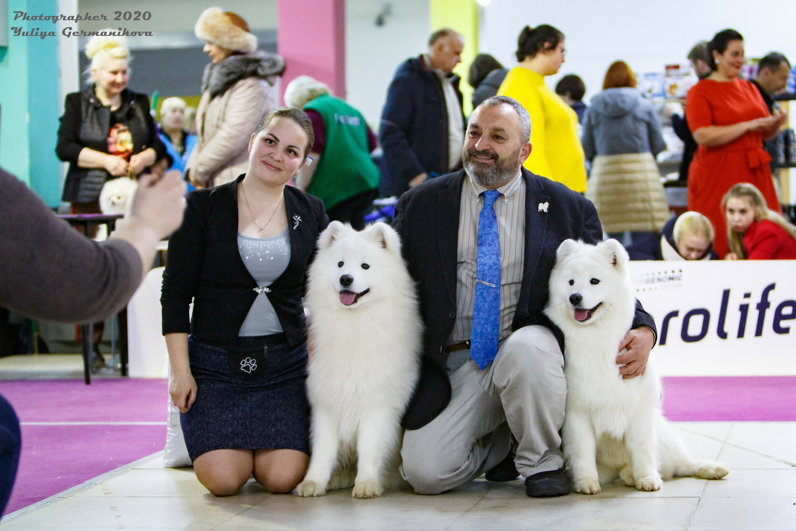 Чайна-Таун 2021. Фотограф-анималист Юлия Германика