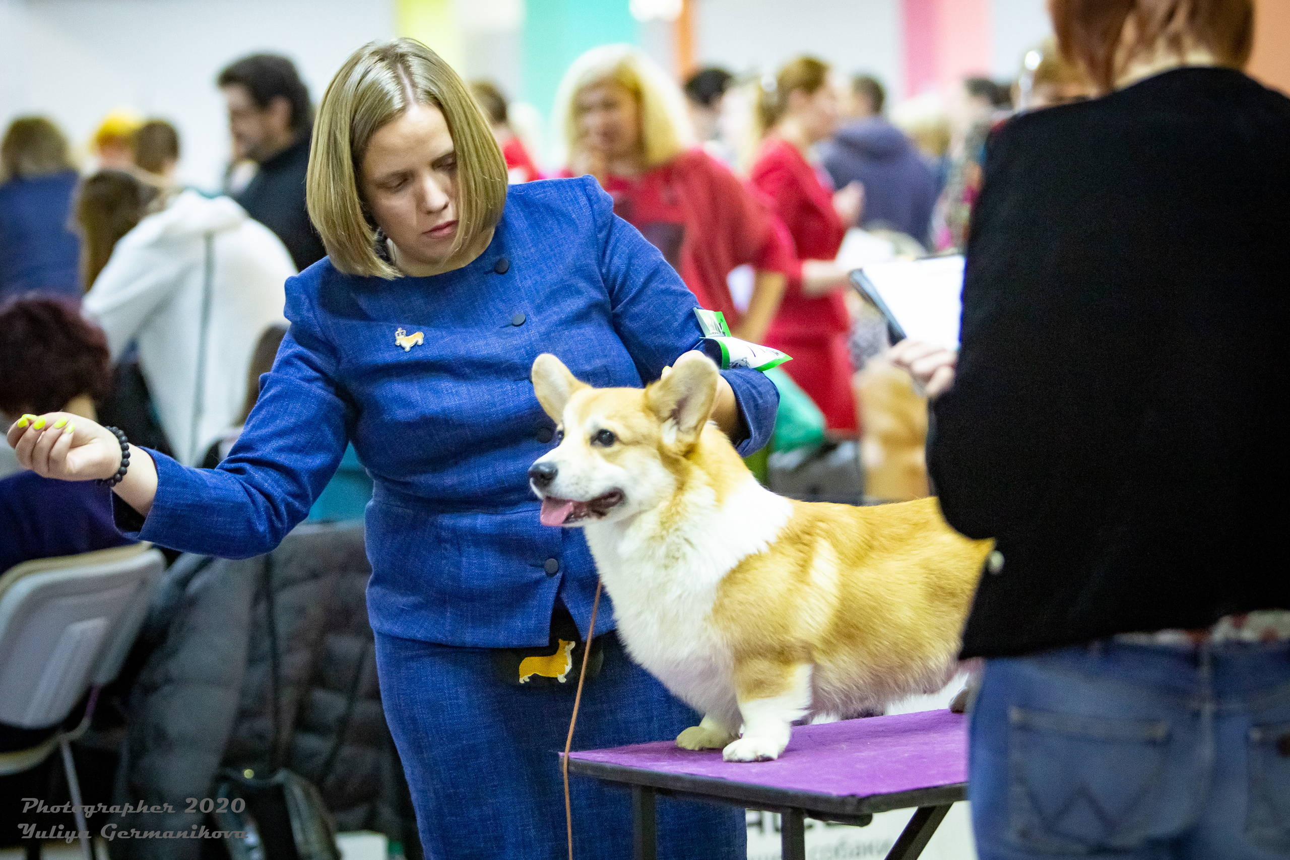 Монопородные выставки. Фотограф-анималист Юлия Германика