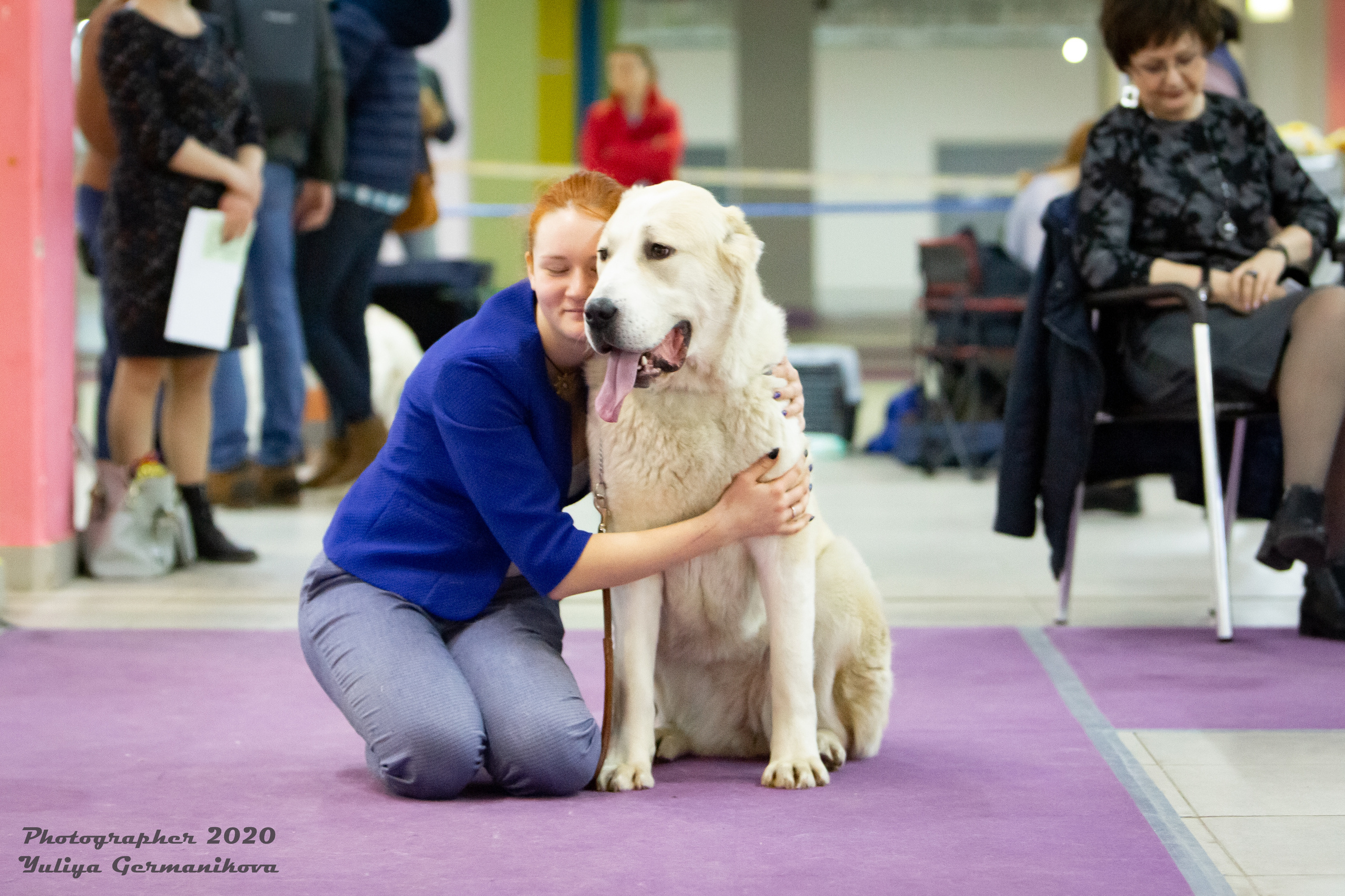 Чайна-Таун 2021. Фотограф-анималист Юлия Германика