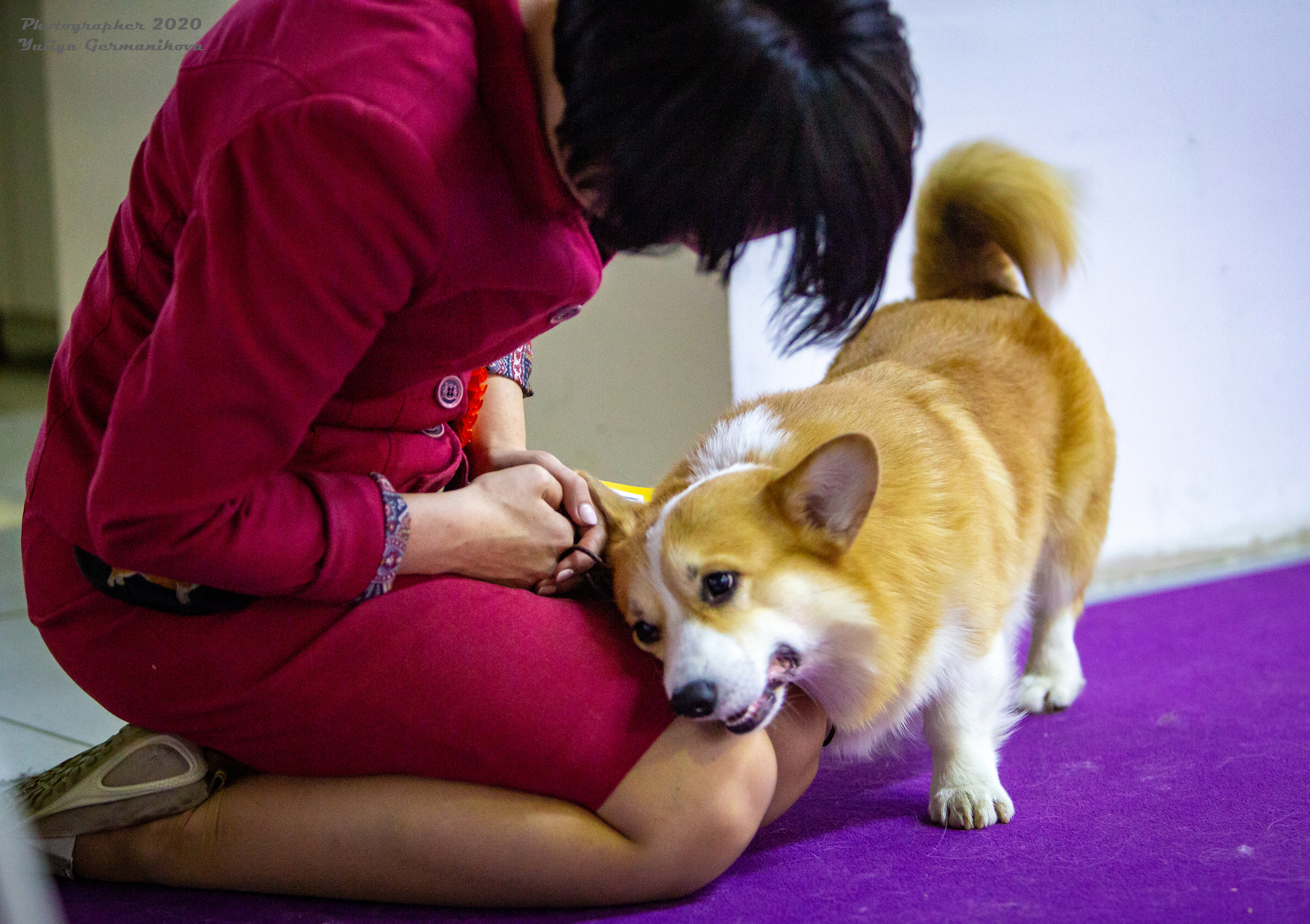 Монопородные выставки. Фотограф-анималист Юлия Германика