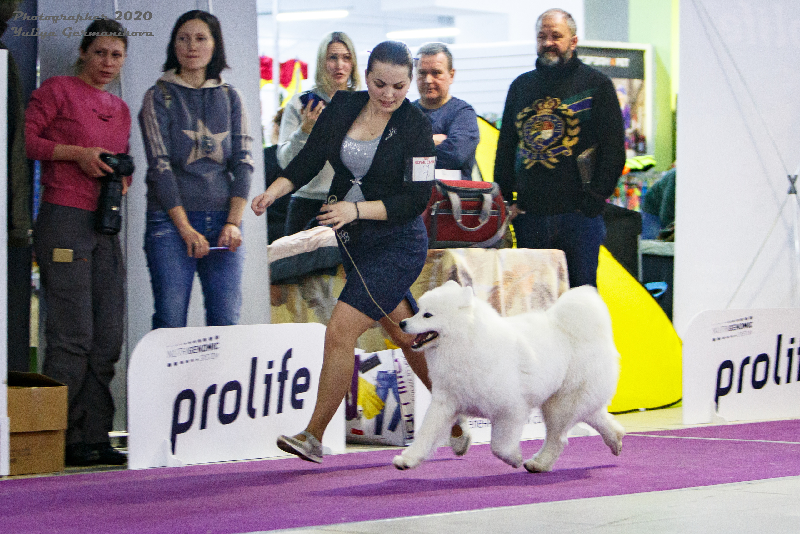 Чайна-Таун 2021. Фотограф-анималист Юлия Германика