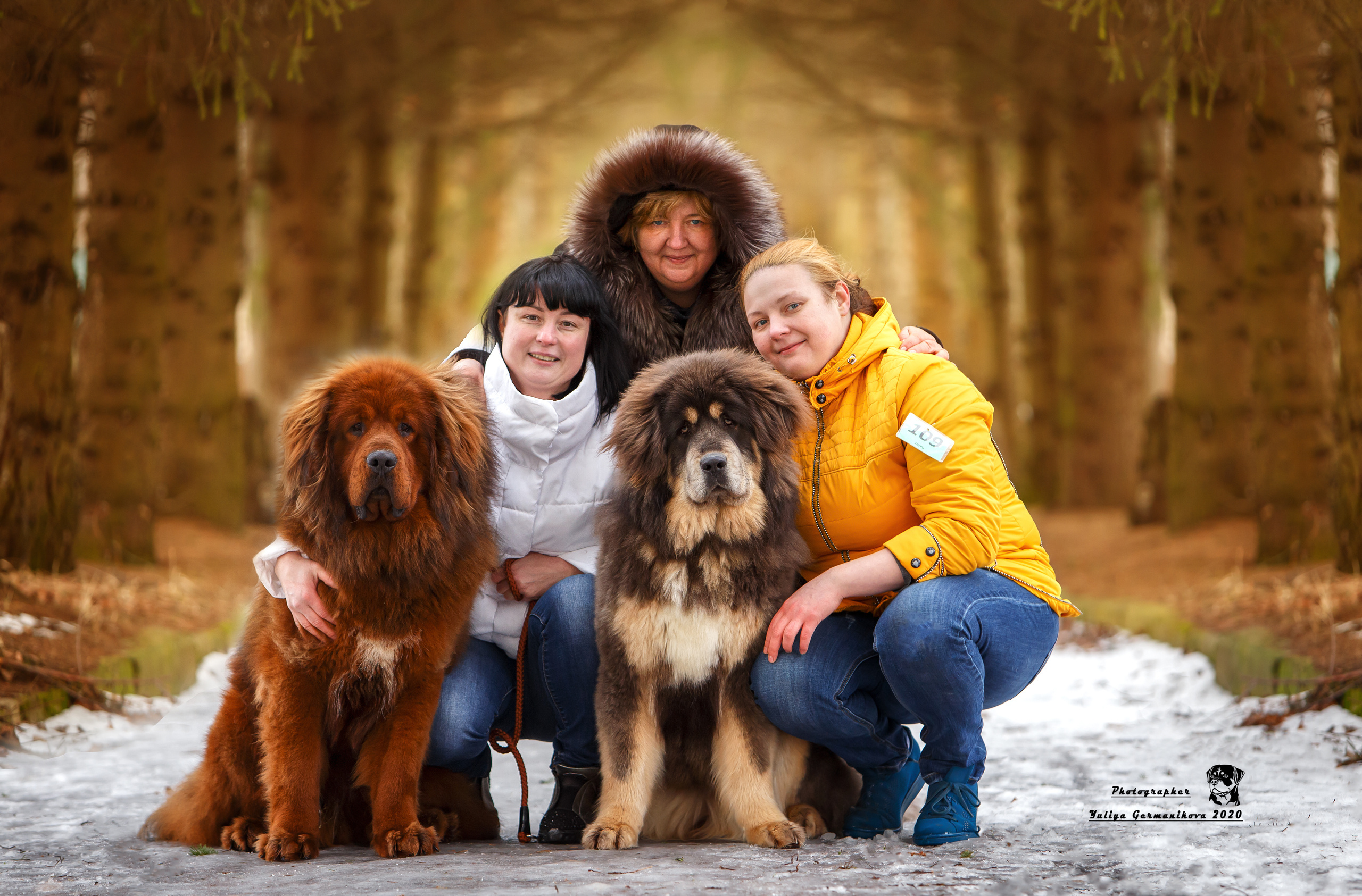 Свободная съемка. Фотограф-анималист Юлия Германика