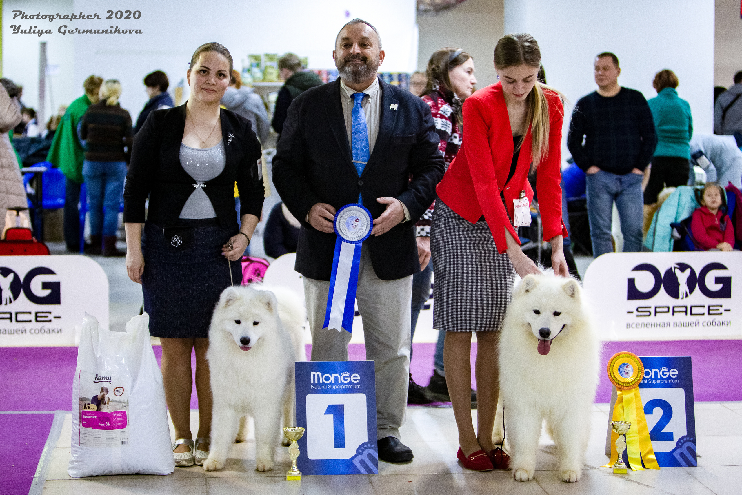 Чайна-Таун 2021. Фотограф-анималист Юлия Германика
