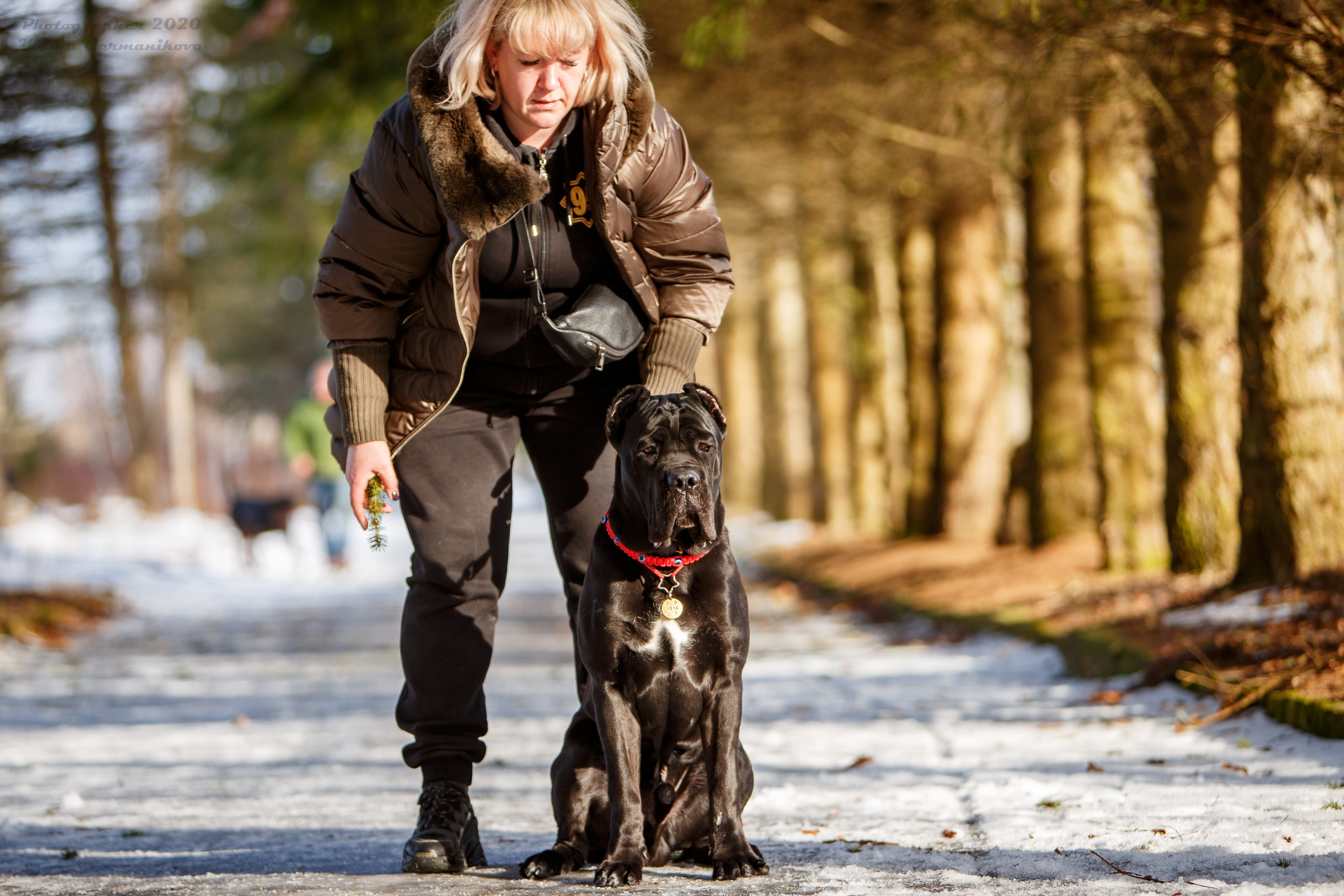 Свободная съемка. Фотограф-анималист Юлия Германика