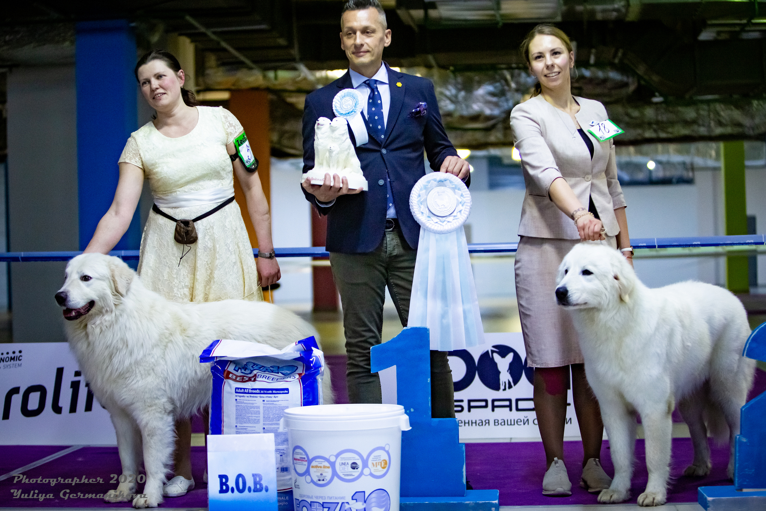 Чайна-Таун 2021. Фотограф-анималист Юлия Германика