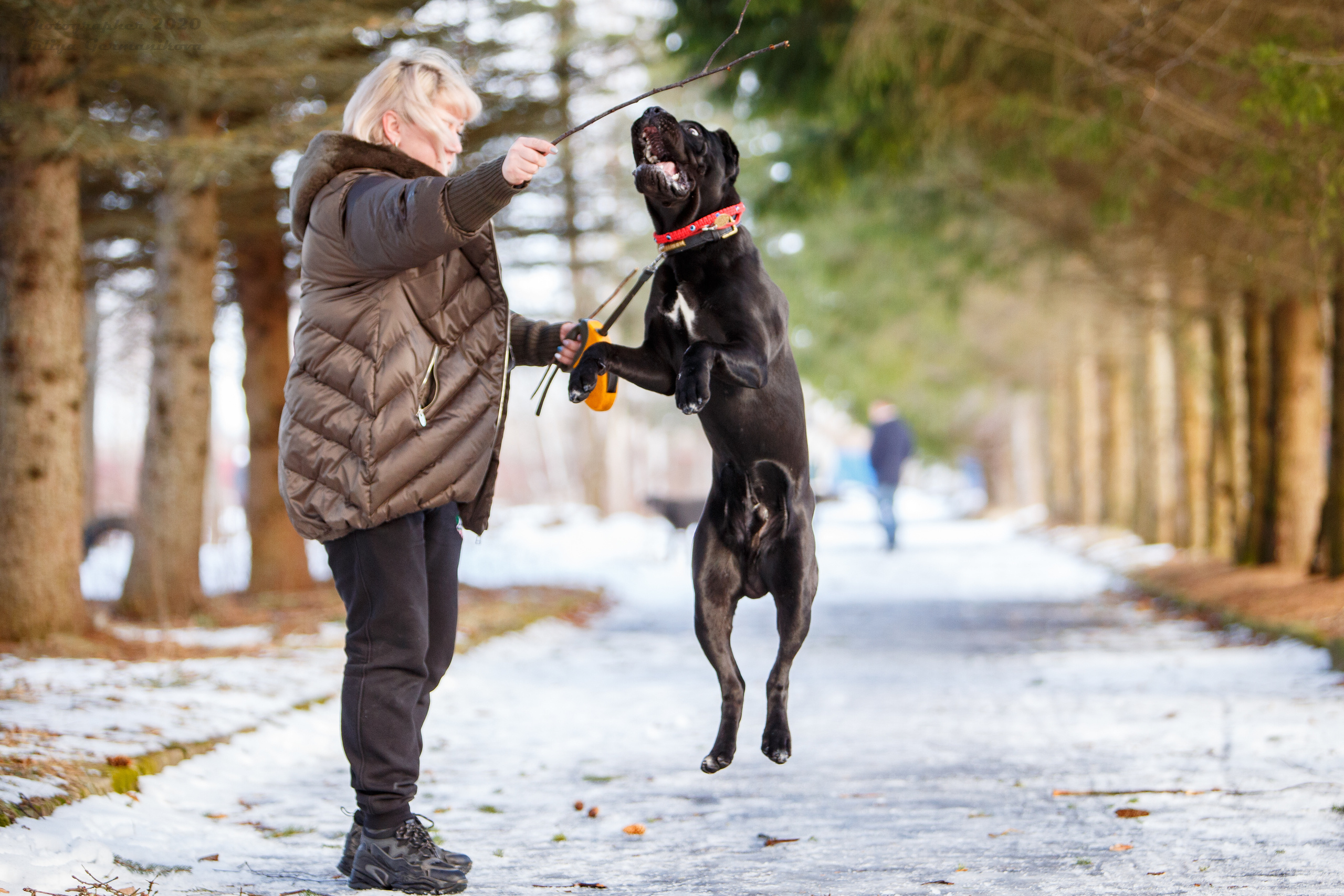Свободная съемка. Фотограф-анималист Юлия Германика