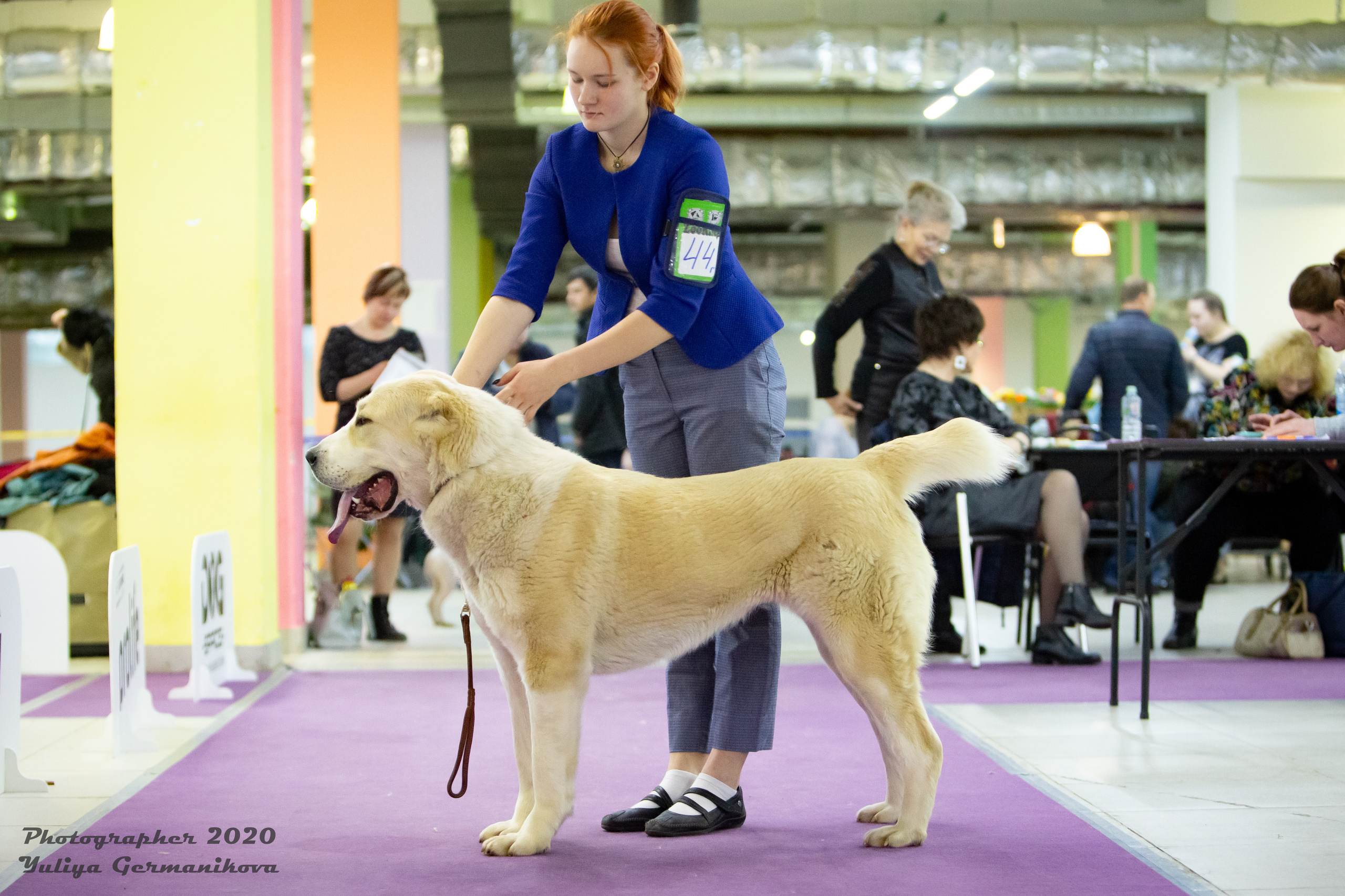 Чайна-Таун 2021. Фотограф-анималист Юлия Германика