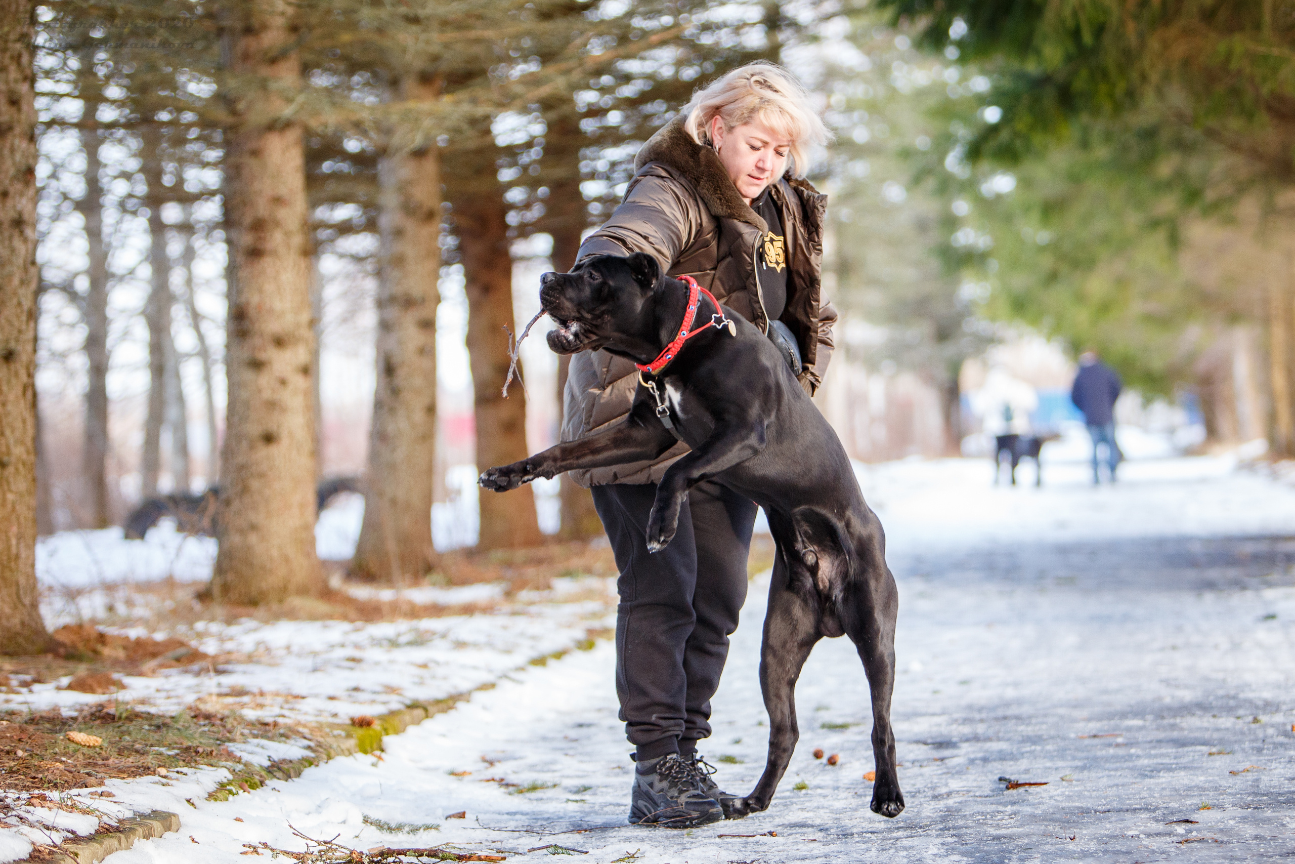 Свободная съемка. Фотограф-анималист Юлия Германика