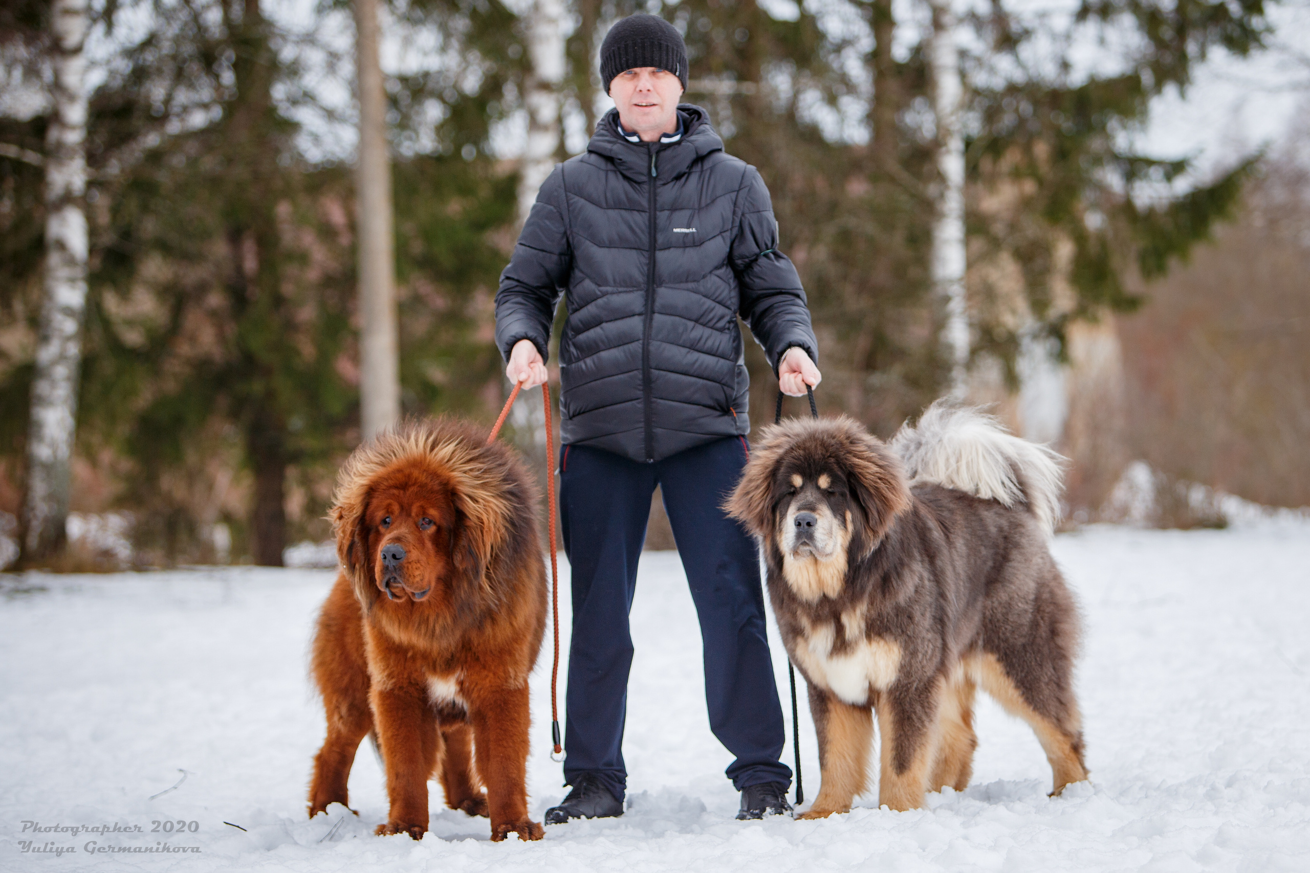 Свободная съемка. Фотограф-анималист Юлия Германика