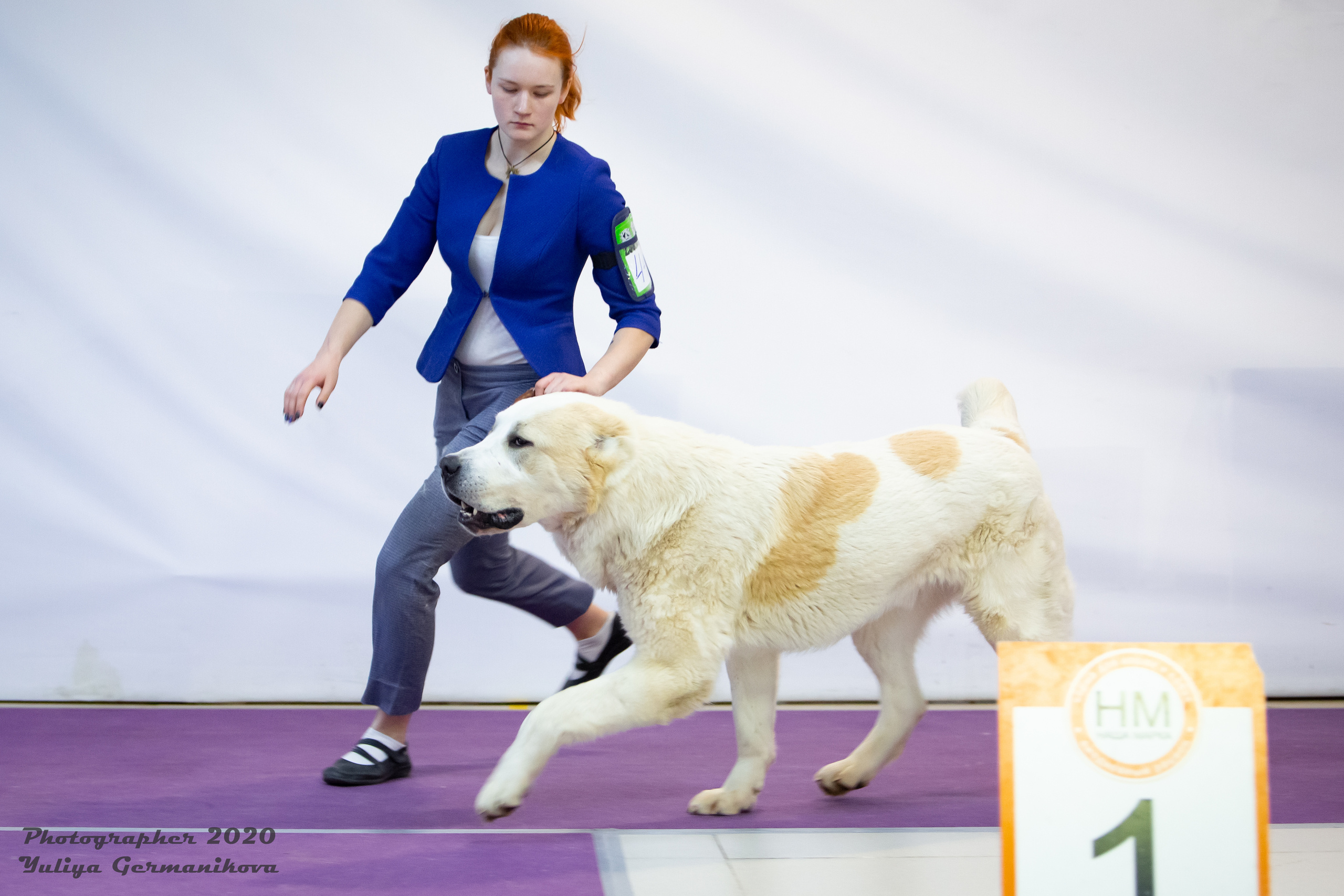 Чайна-Таун 2021. Фотограф-анималист Юлия Германика