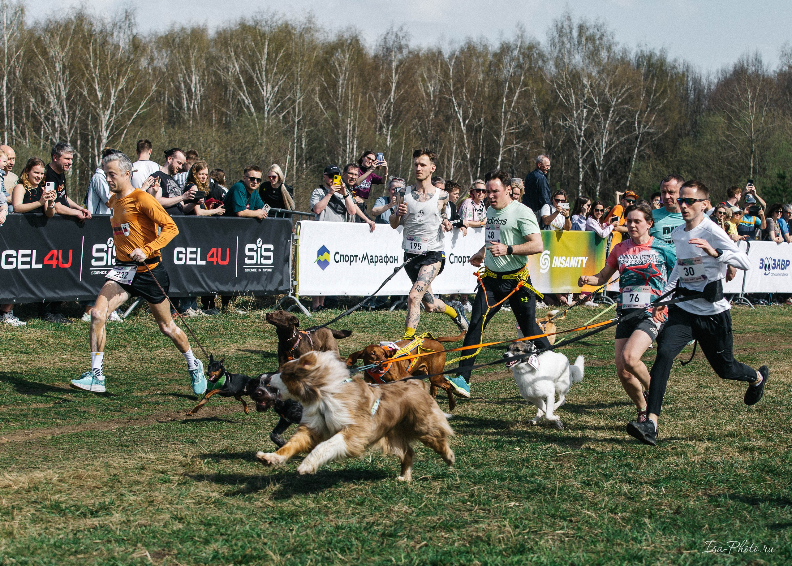 Кросс «Быстрый пёс» 2025. Репортажный фотограф в Москве