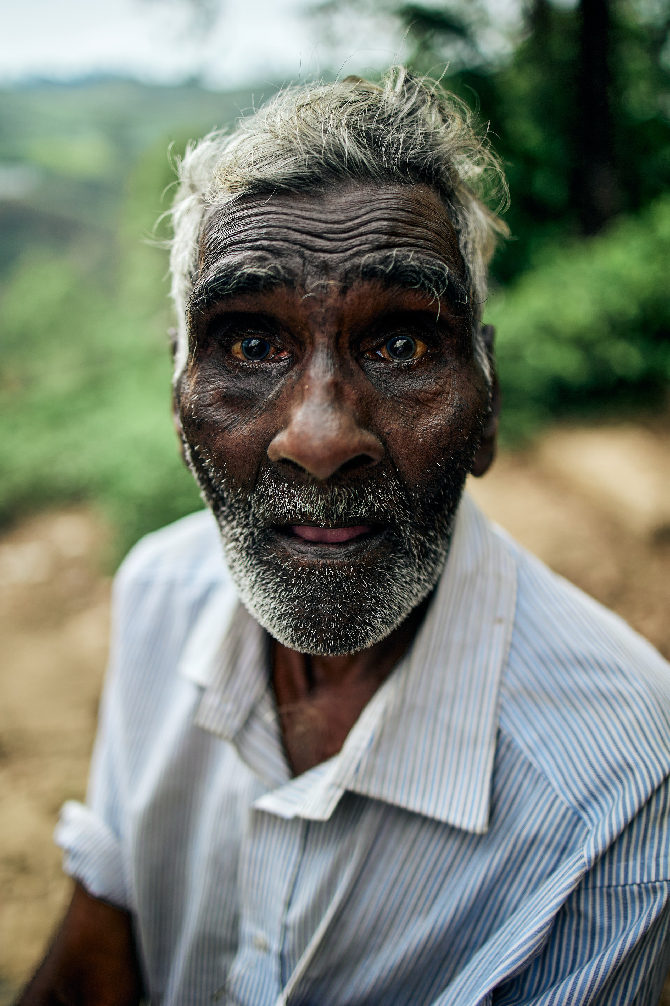Шри-Ланка. Хороший репортажный и промышленный фотограф в Казани Алексей Щелконогов