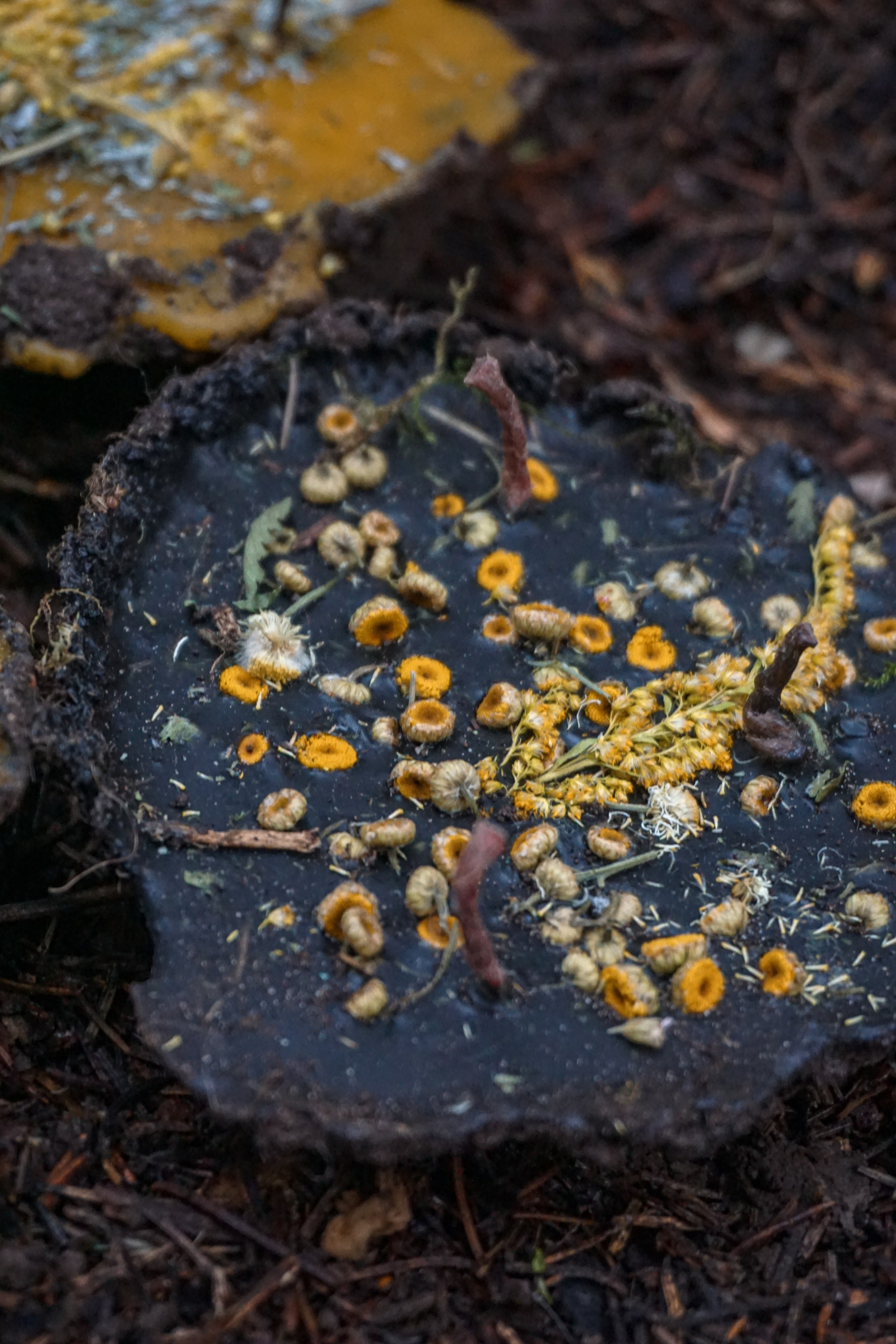 Свечи ручной работы. ФОТОГРАФ Любовь Скок. Москва