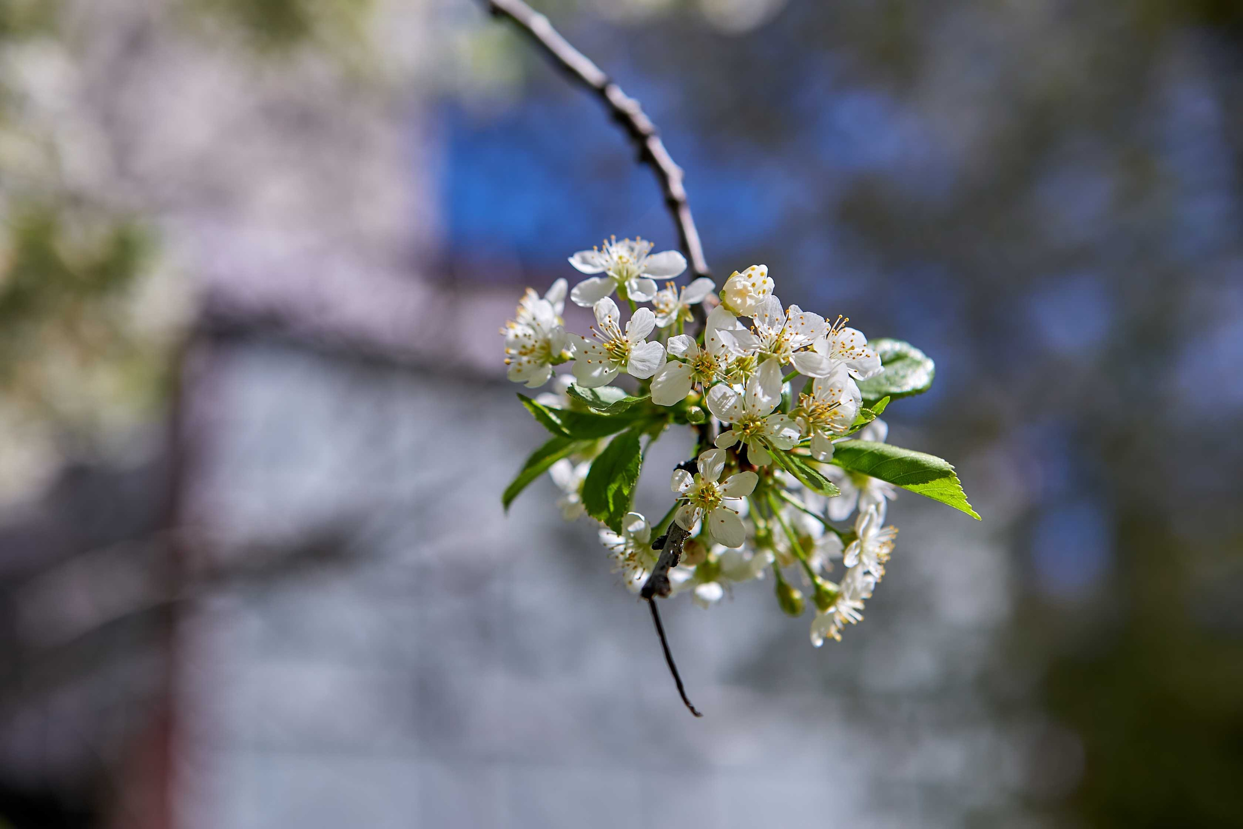 Видовые фото УГНТУ. УГНТУ — Ведущий нефтегазовый вуз России