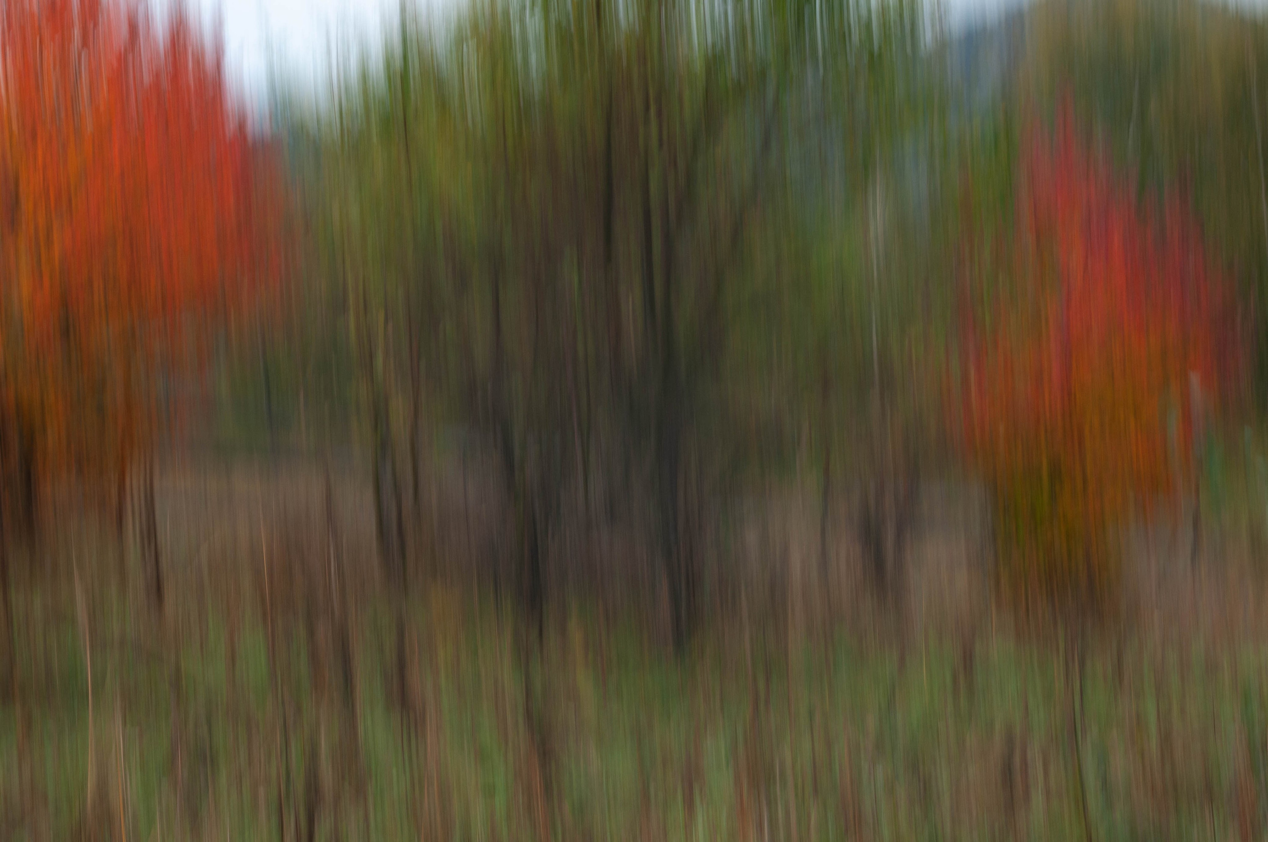 Пейзажи. Портретный фотограф в республике Алтай Юлия Шевченко