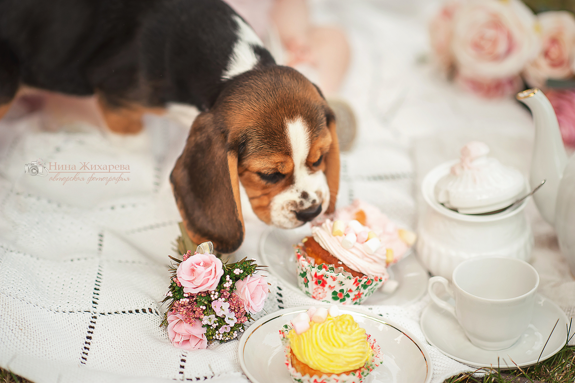 Семья Пленэр