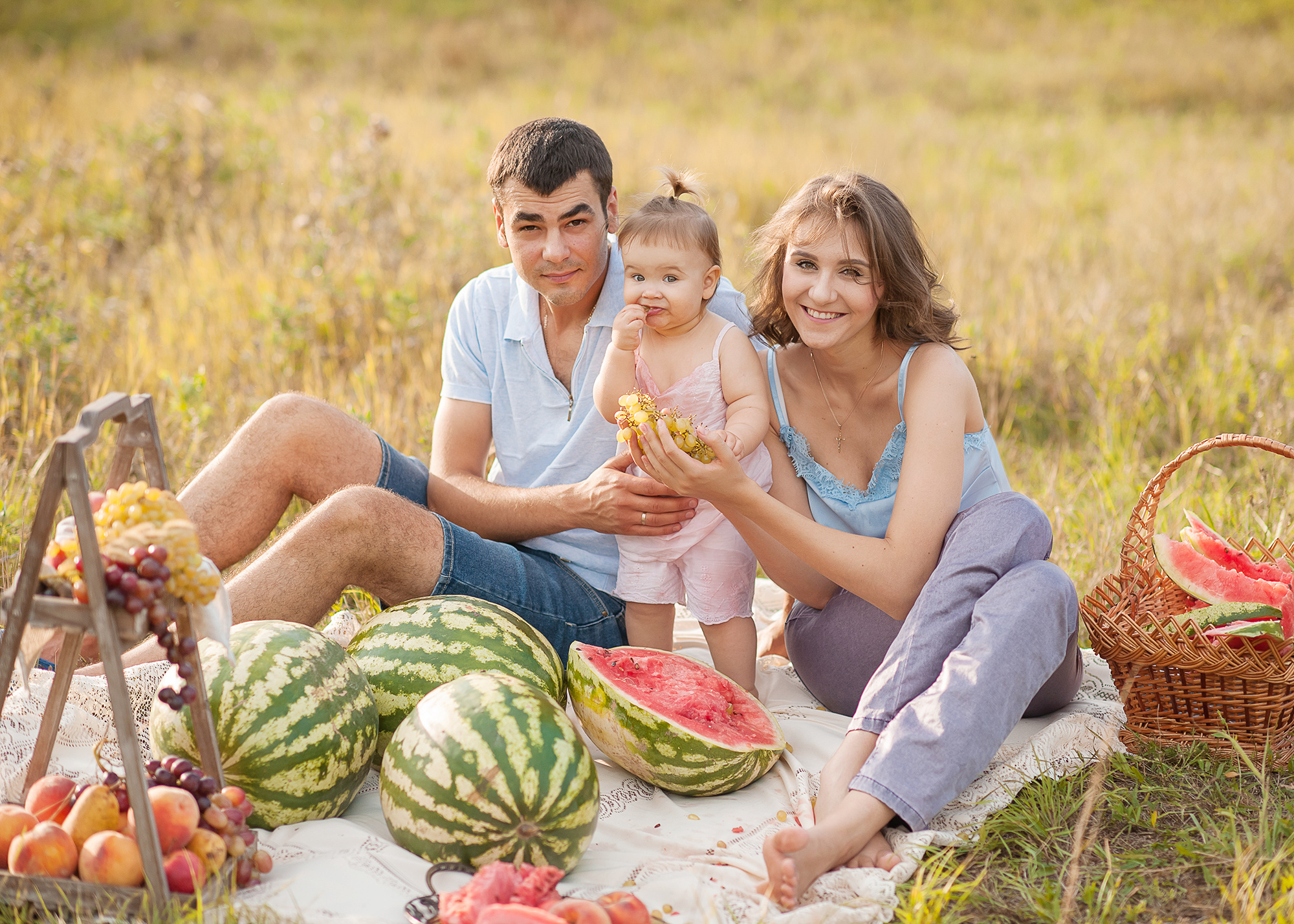 Семья Пленэр