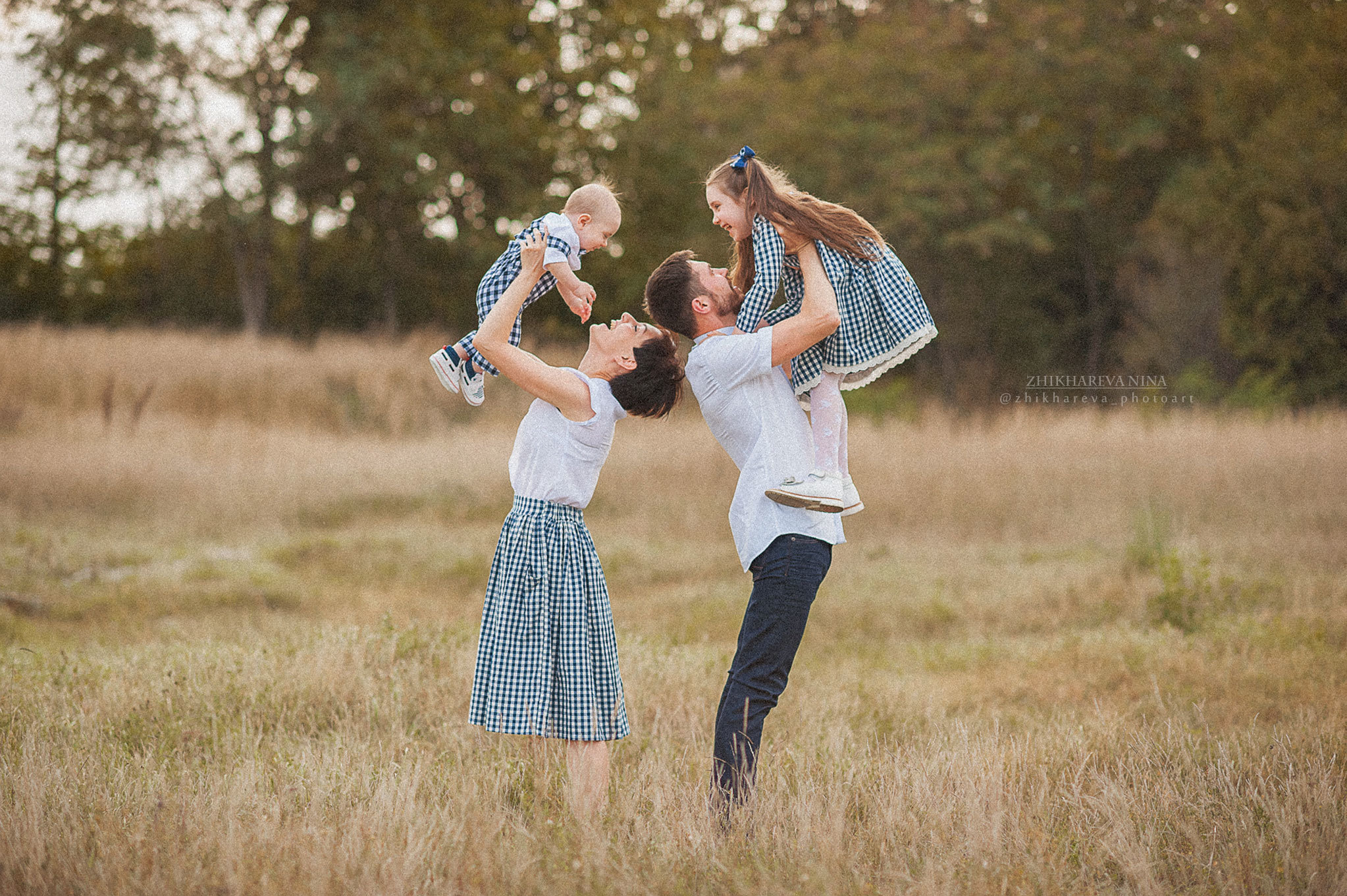 Семья Пленэр