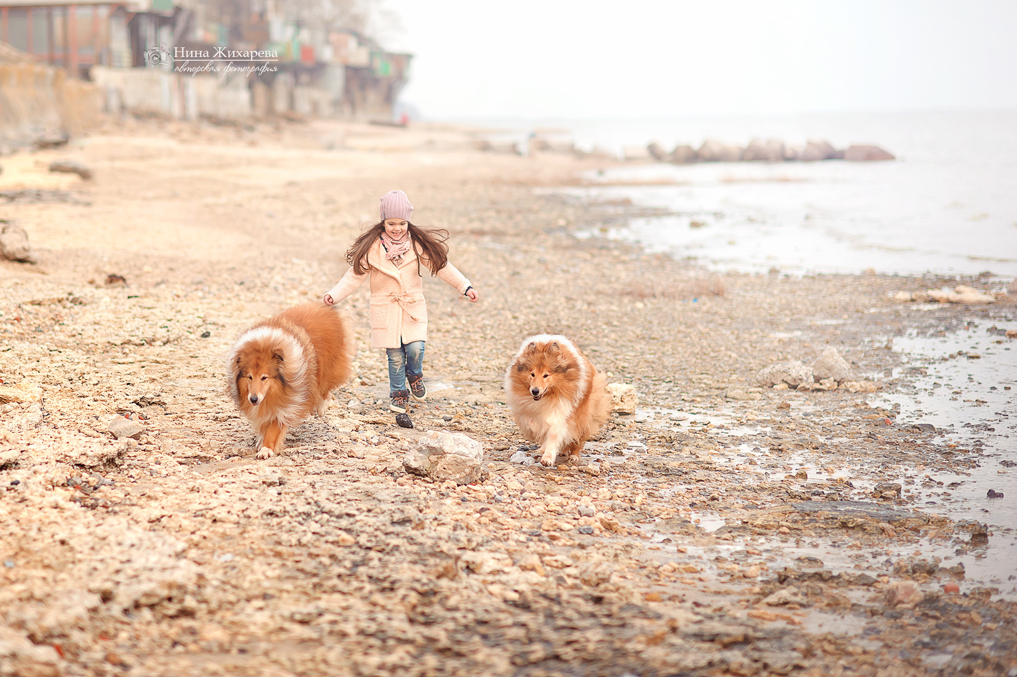 Семья Пленэр