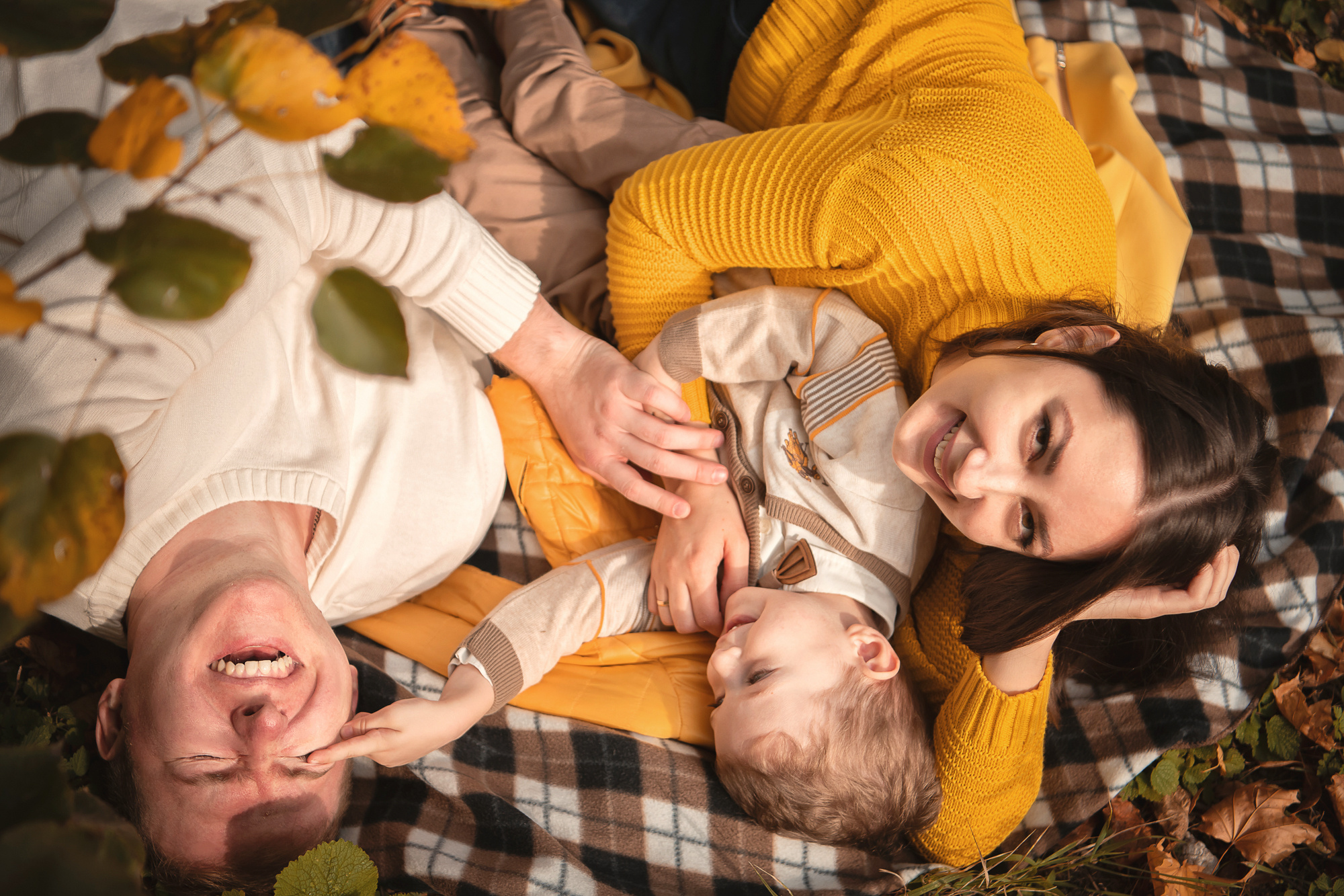 Семья Пленэр