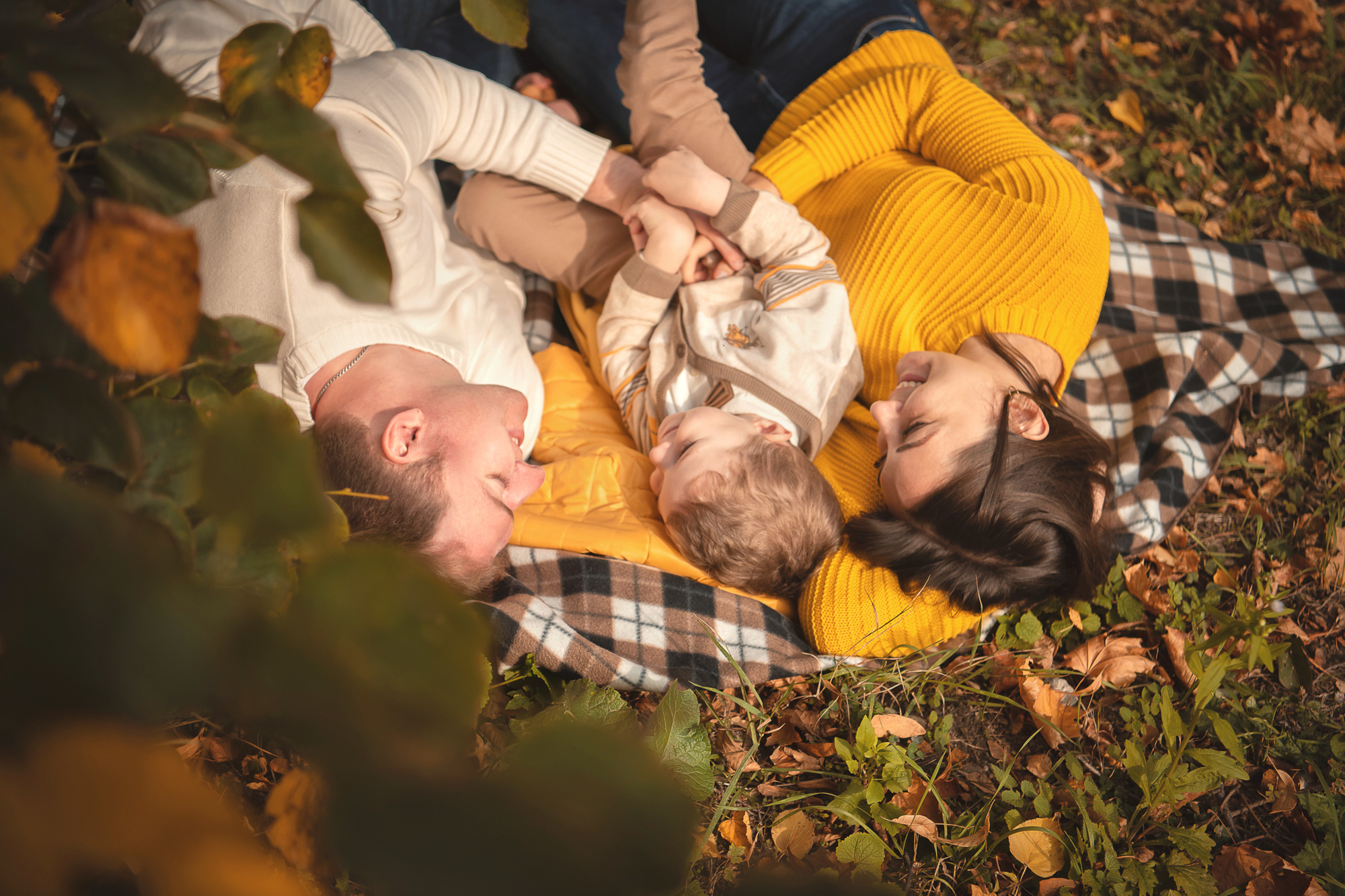 Семья Пленэр