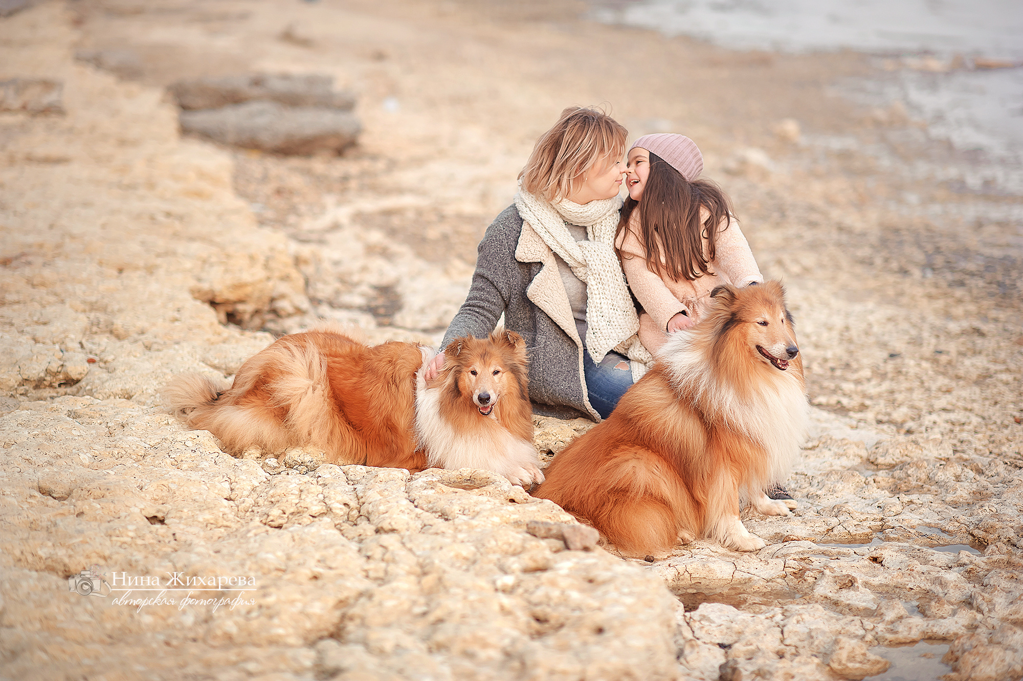 Семья Пленэр