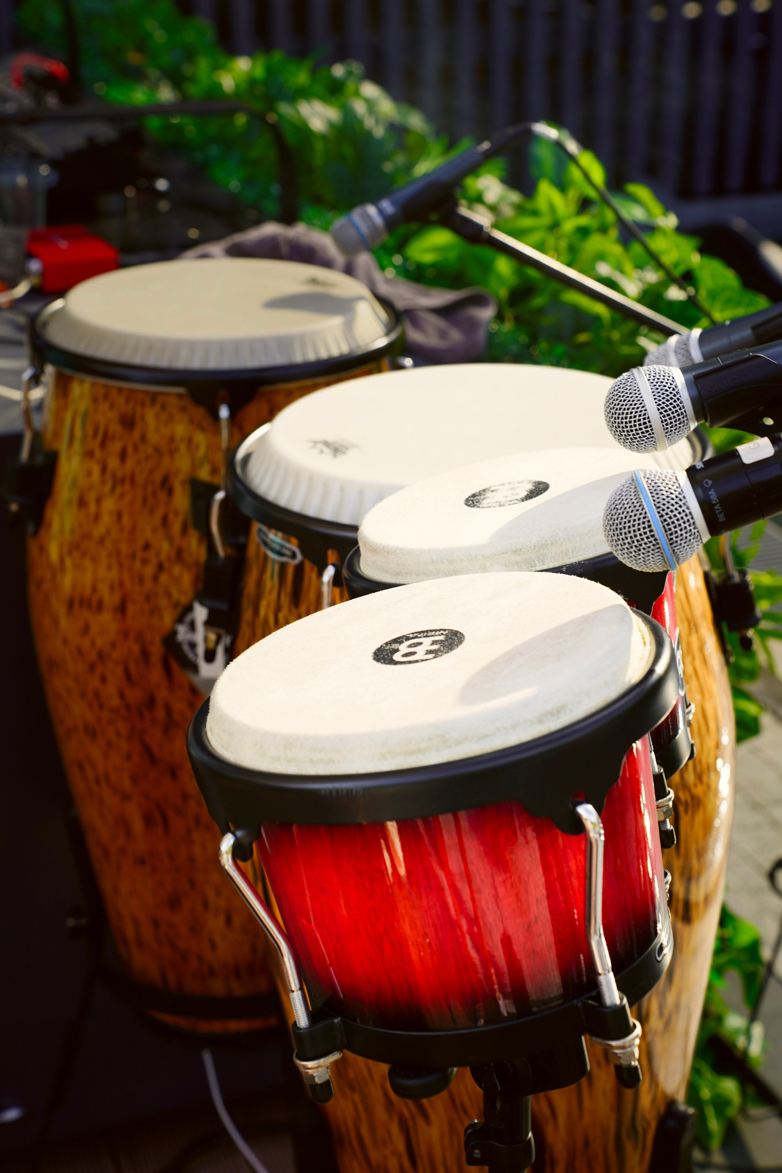 Мероприятия. Универсальный фотограф в Геленджике Сидорина Кристина