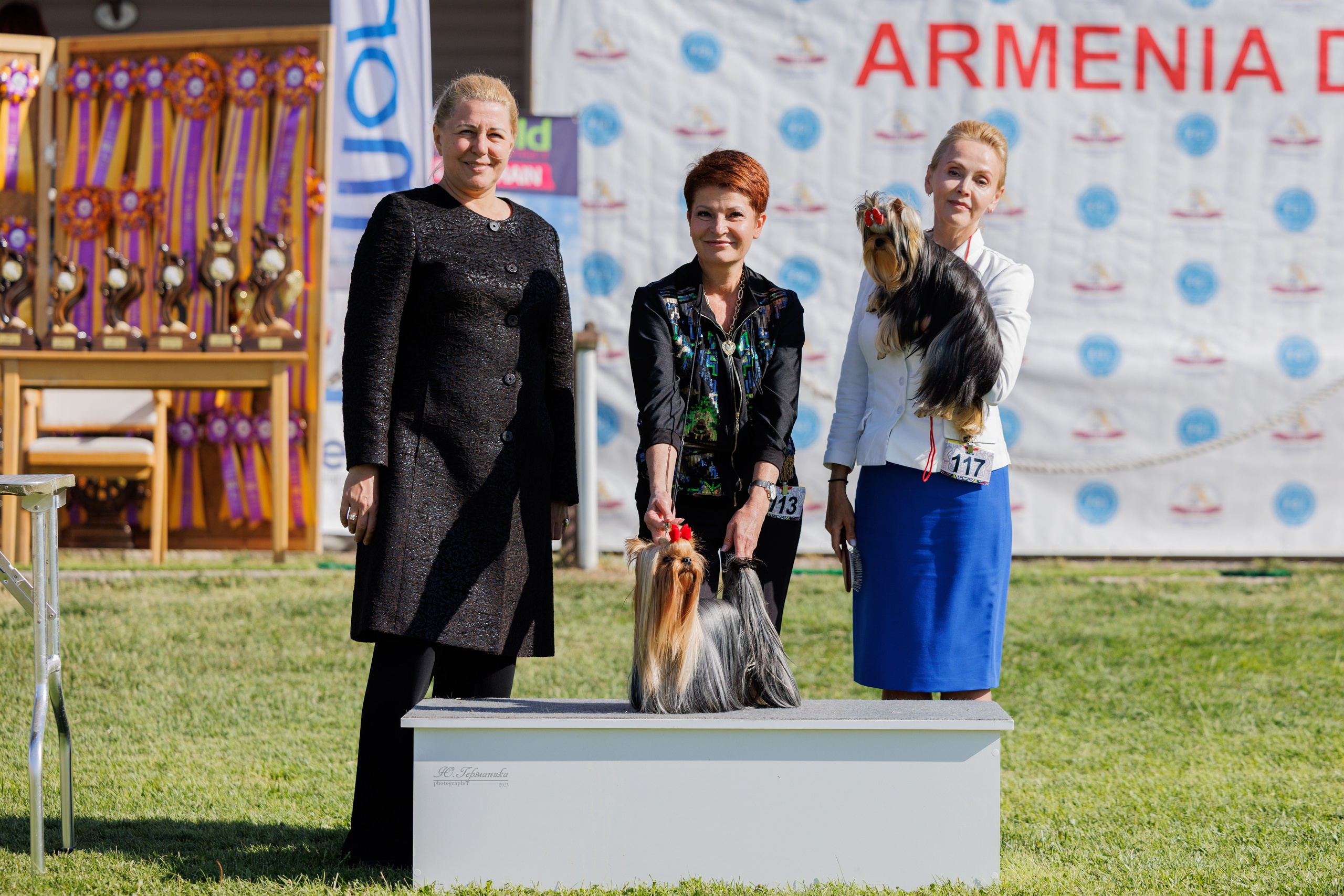 Ереван 14-16.10.2025. Фотограф-анималист Юлия Германика