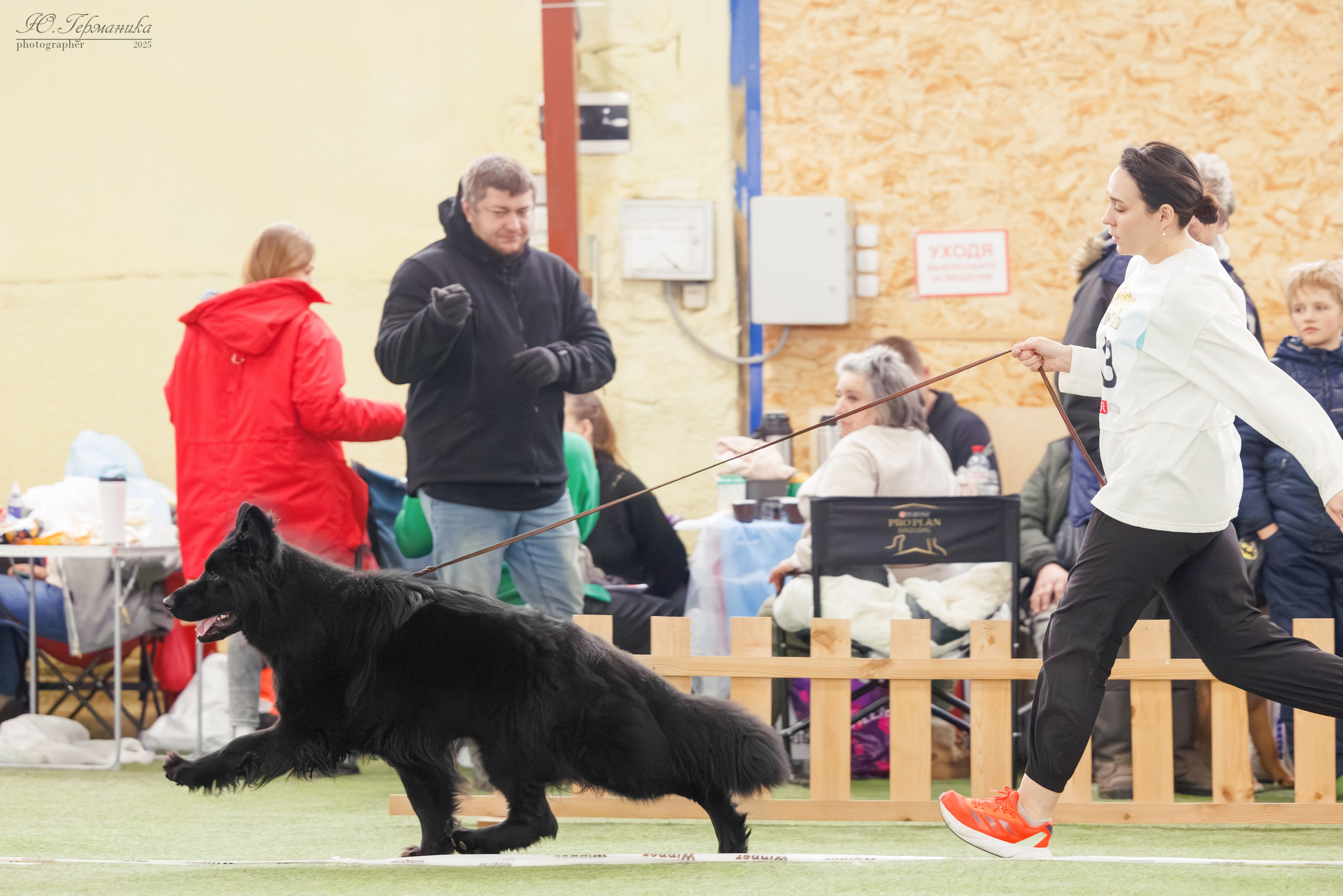 Гран-При 8.02.2025 и Крокус 09.02.2025. Фотограф-анималист Юлия Германика