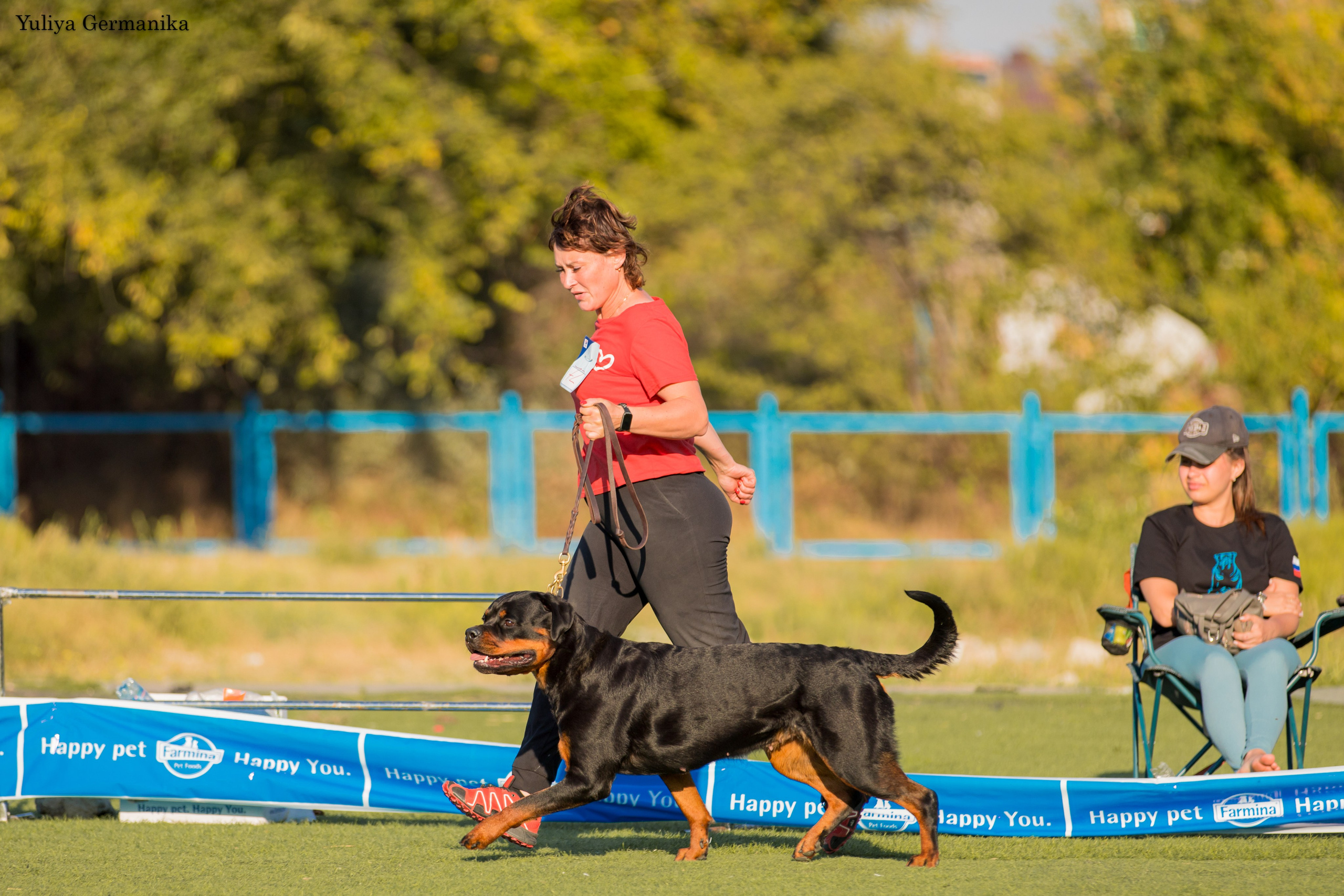 Анапа 16-17.09.2023 моно ротвейлеров. Фотограф-анималист Юлия Германика