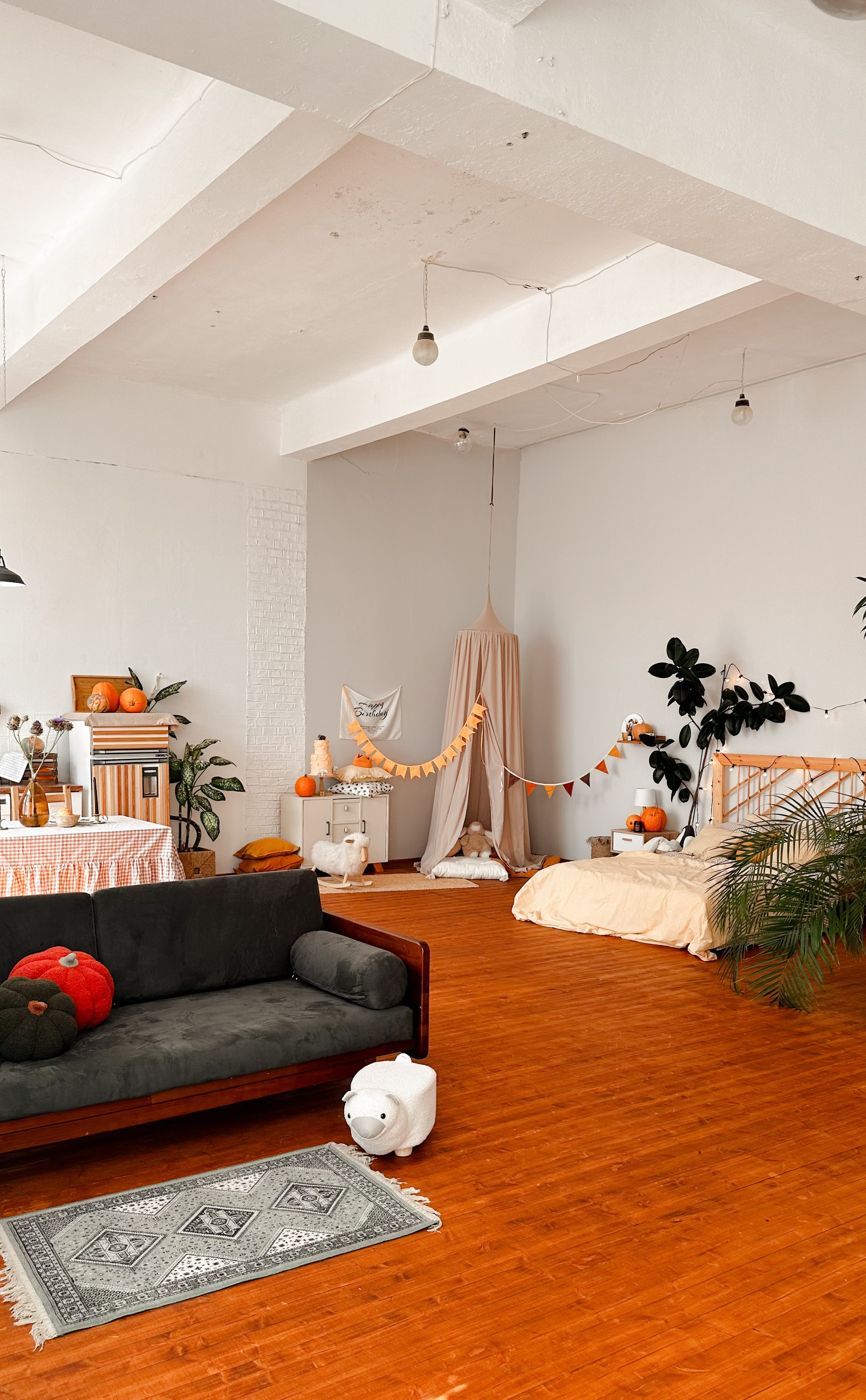 Фотостудия в стиле квартиры, Лофт Потолок. Семейный и детский фотограф в Краснодаре Анна Трашкова