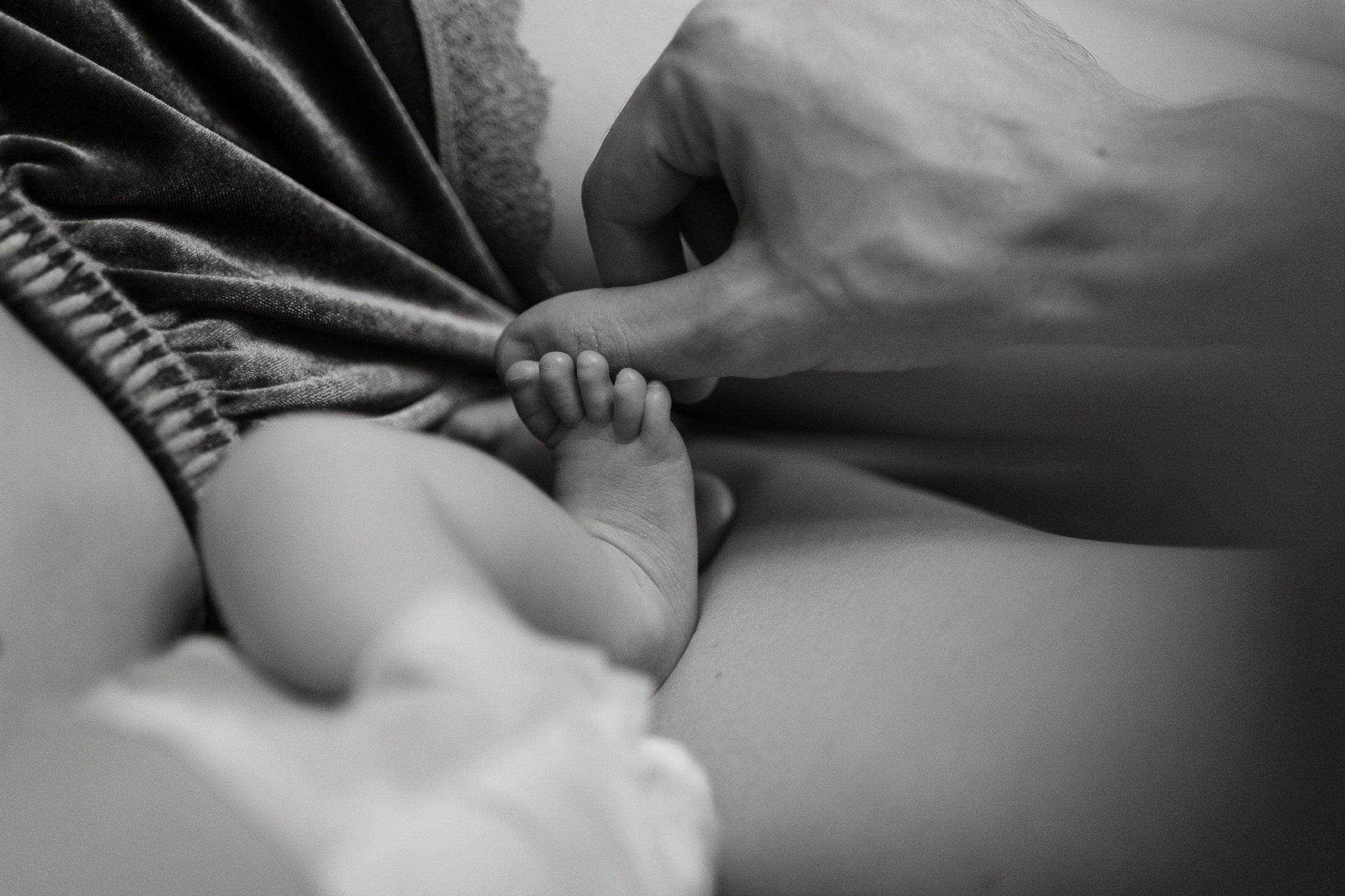 Месяц Александре. Фотограф Москва