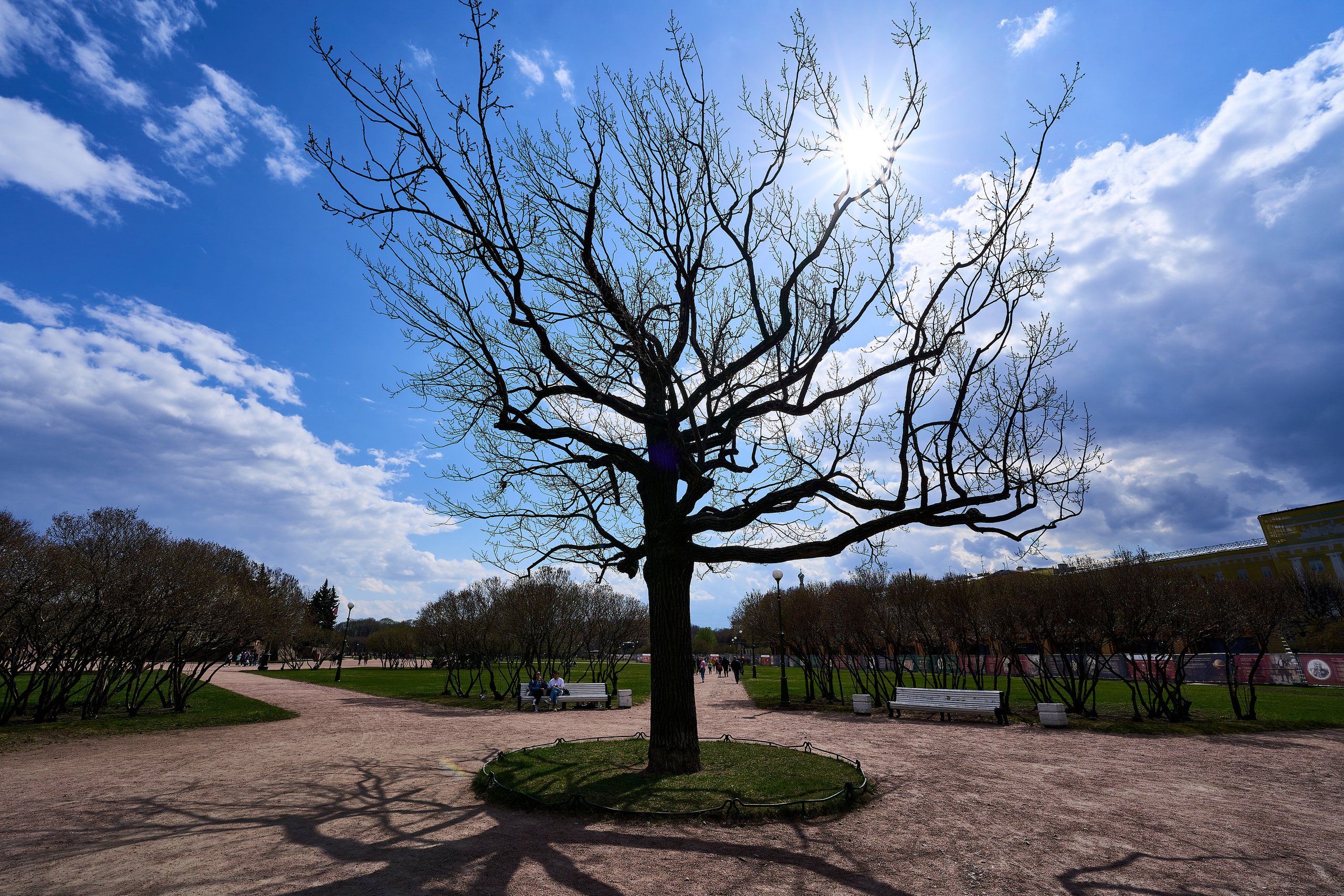 Марсово поле в Санкт-Петербурге