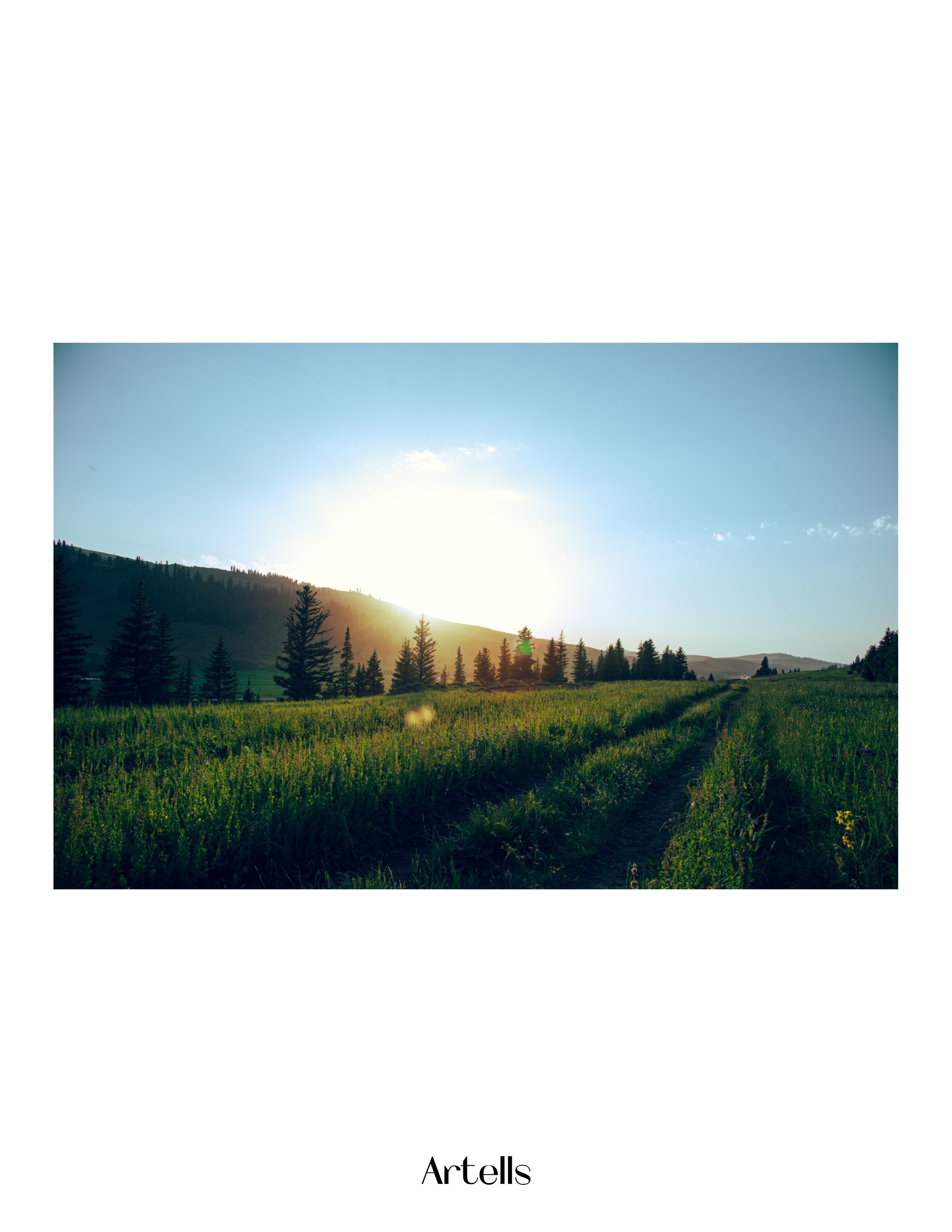 Публикации и выставочные проекты. Фотограф Алматы Ольга Photodooshy