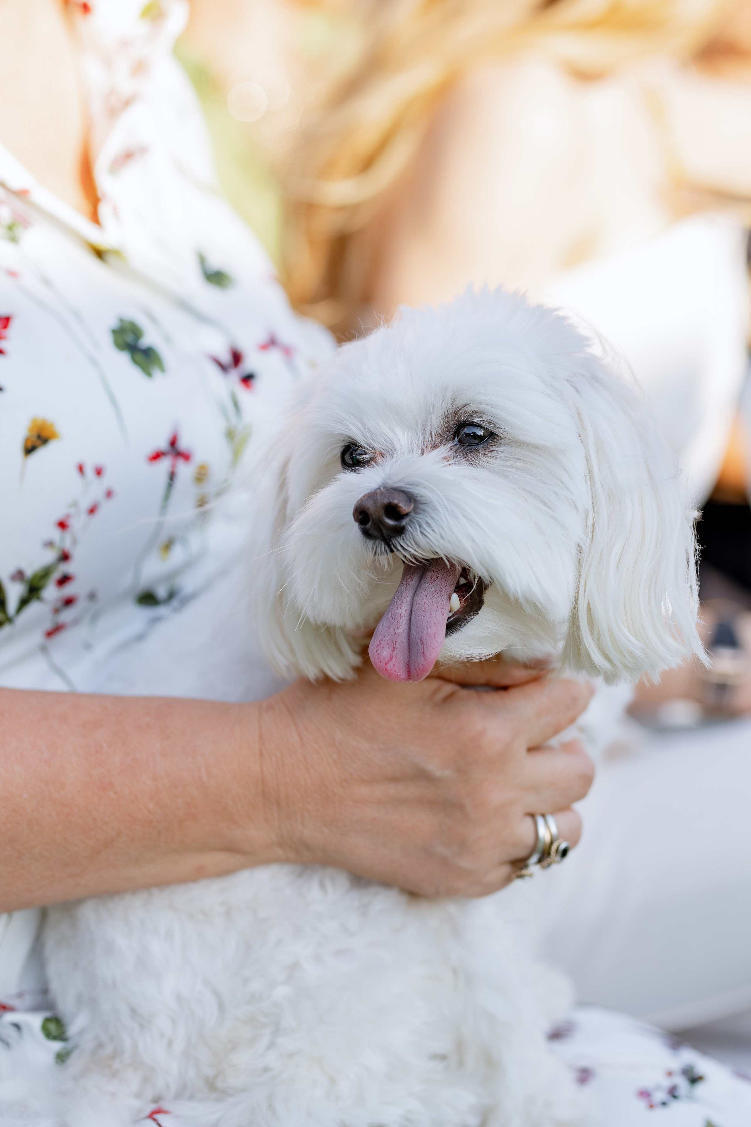 Ангелина и Дима. Свадебный фотограф Витебск Минск