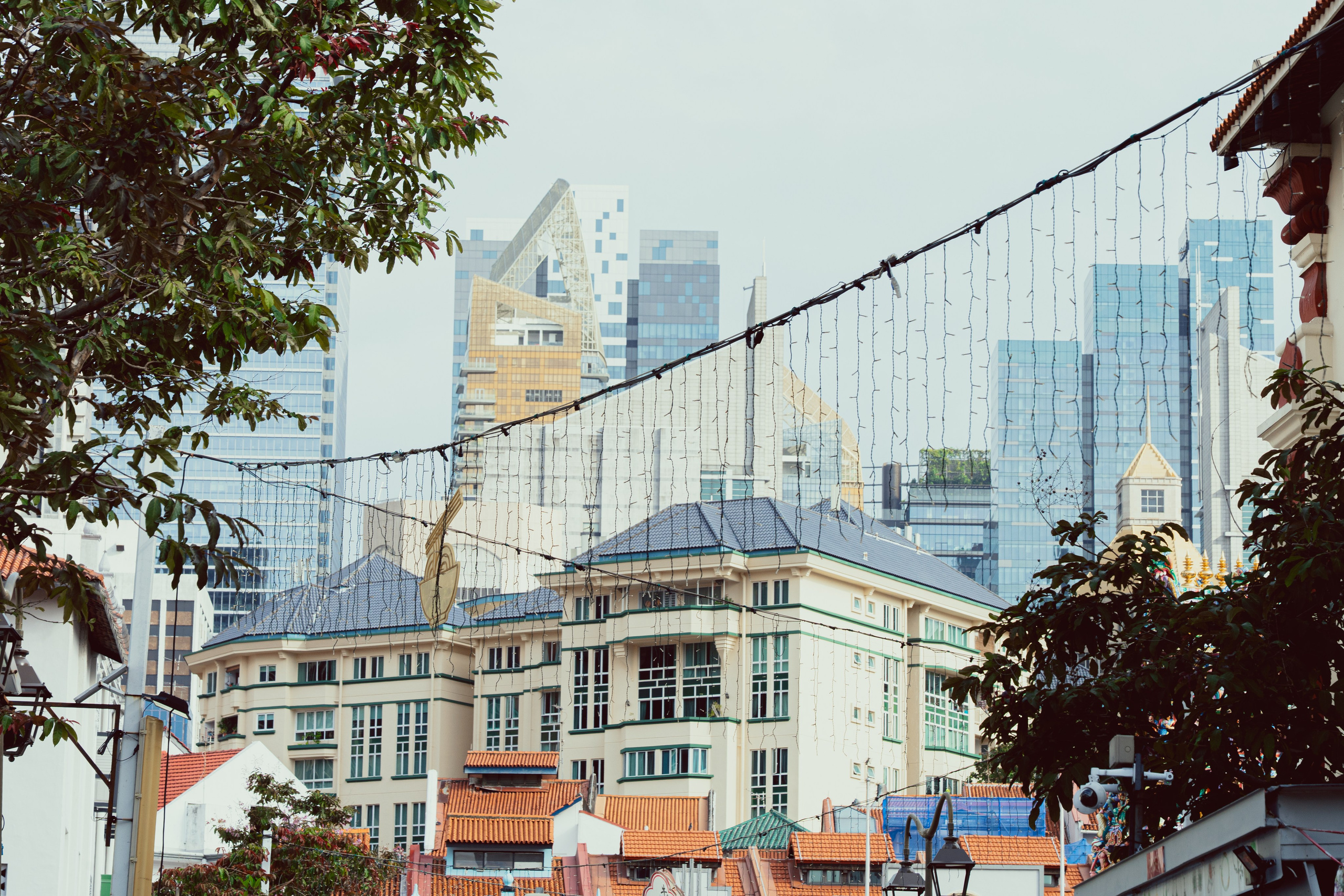 Сингапур и Малайзия. Репортажный фотограф в Москве Легкая Софья