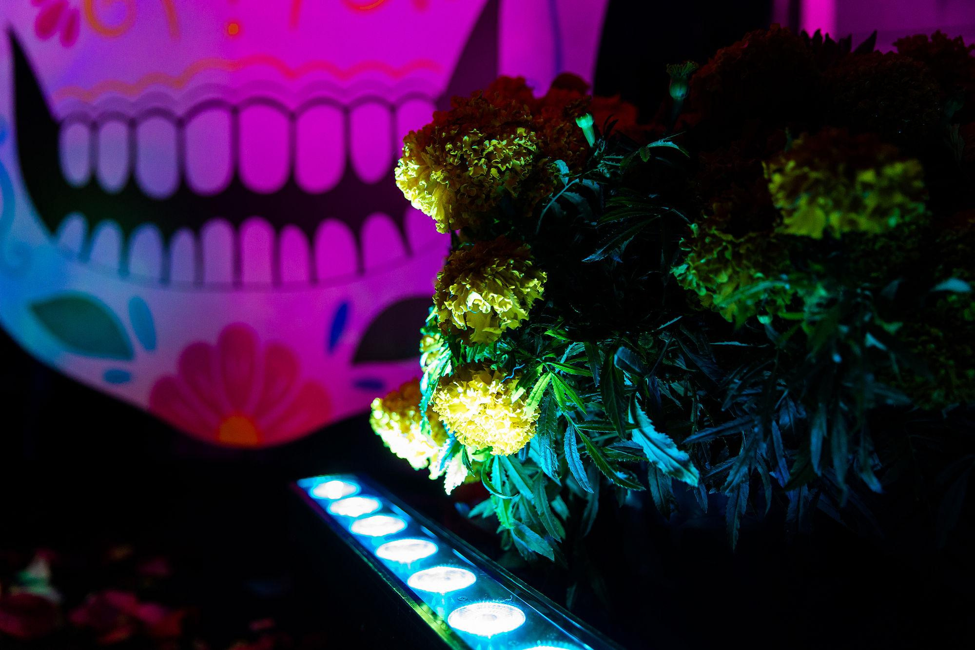 Вечеринка Event-сообщества «Свадебные люди», сентябрь 2021. Репортажный фотограф в Томске