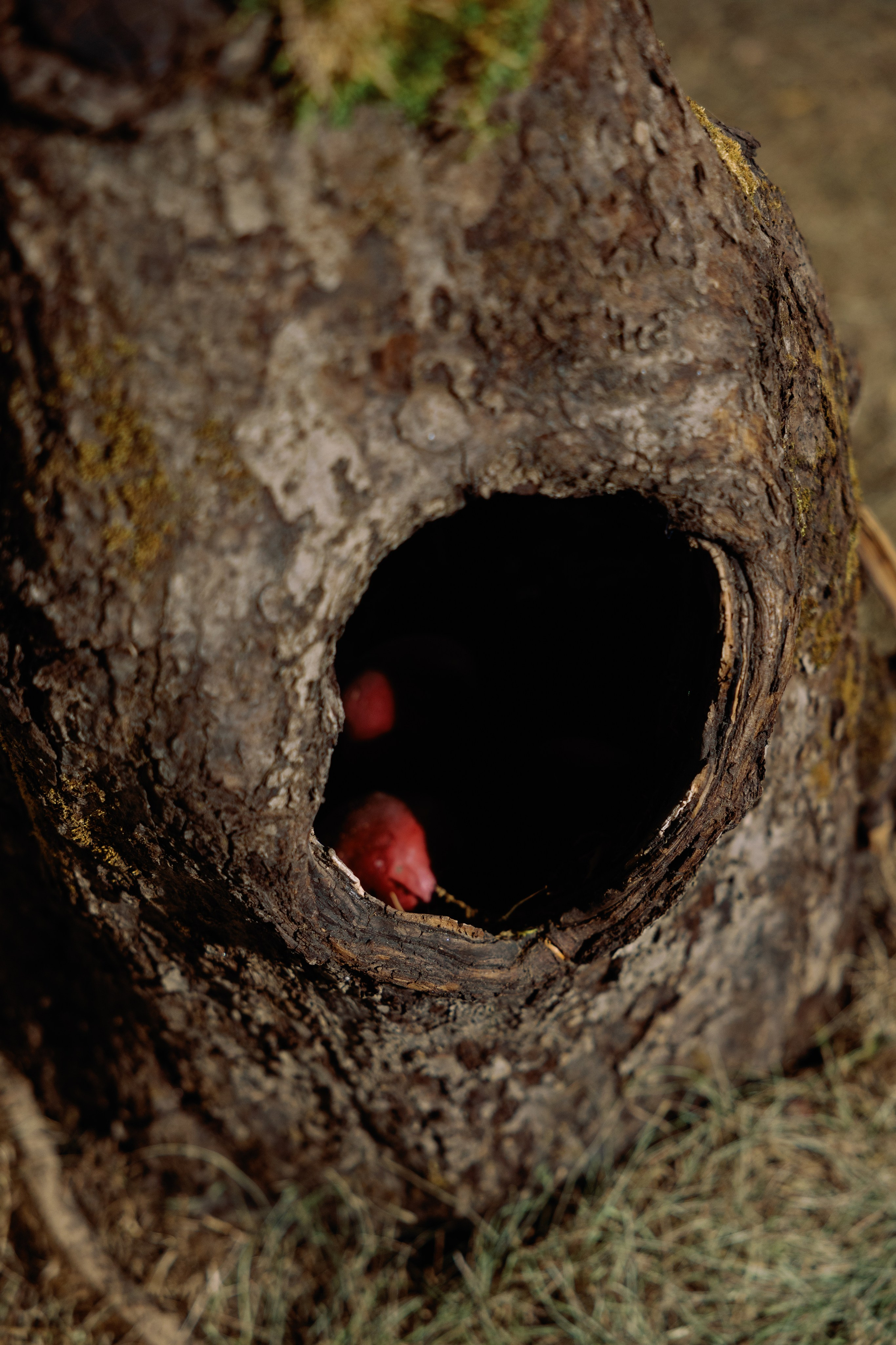 Кира МОХ. Kharchenkotatianaweddingphoto