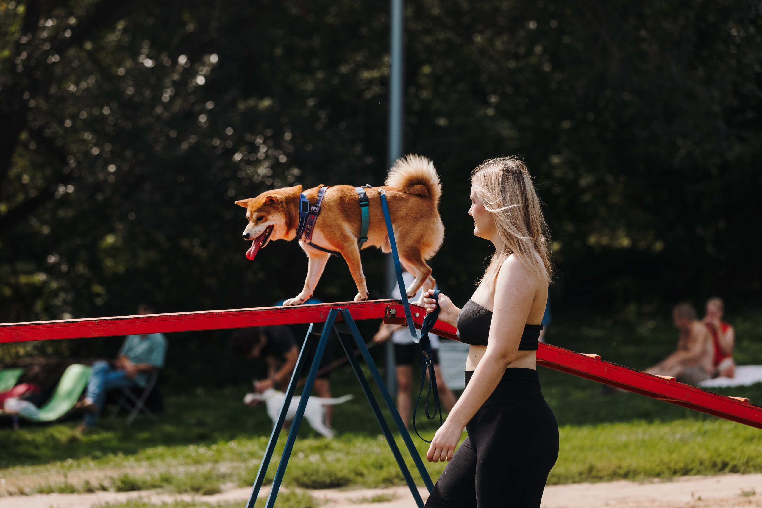 Petshop Sup day. Фотограф анималист Кристина Карпова, Москва