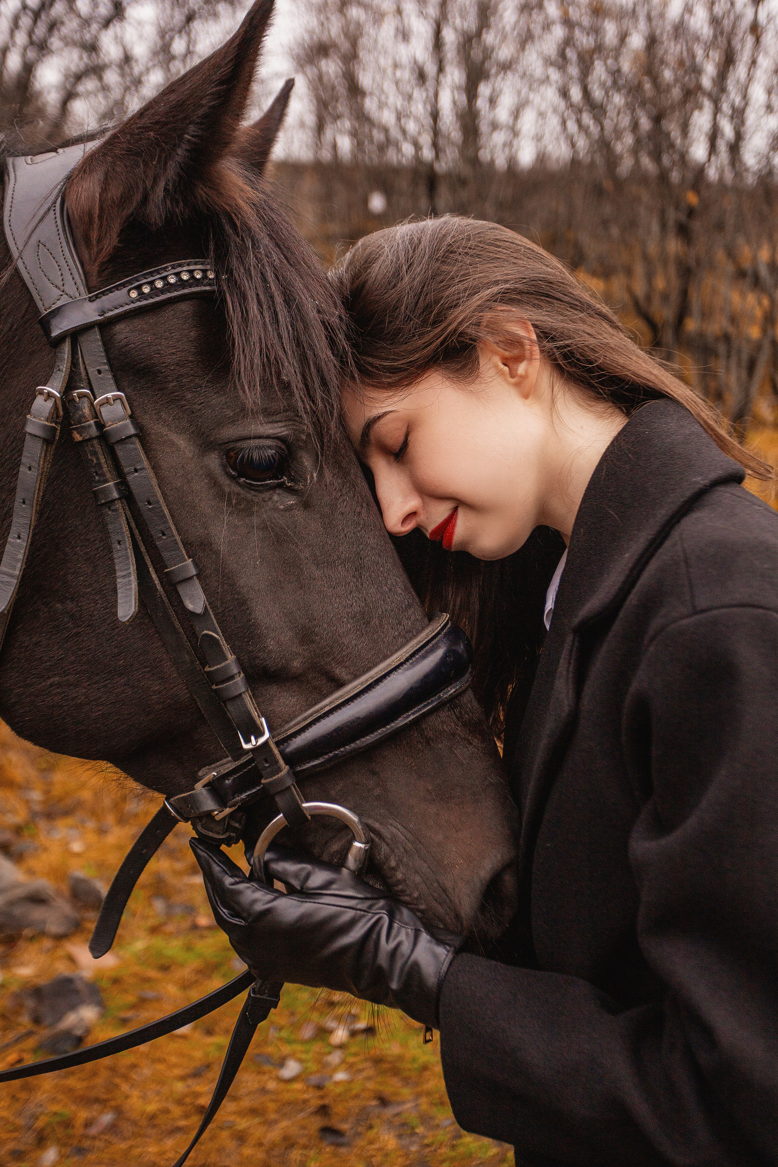 Horses. Фотограф Мурманск Лилия Маер